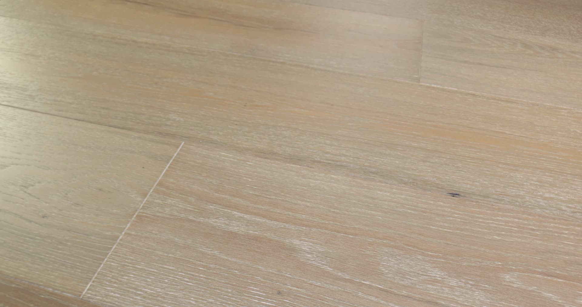 COAST TO COAST PROMENADE 360PROD