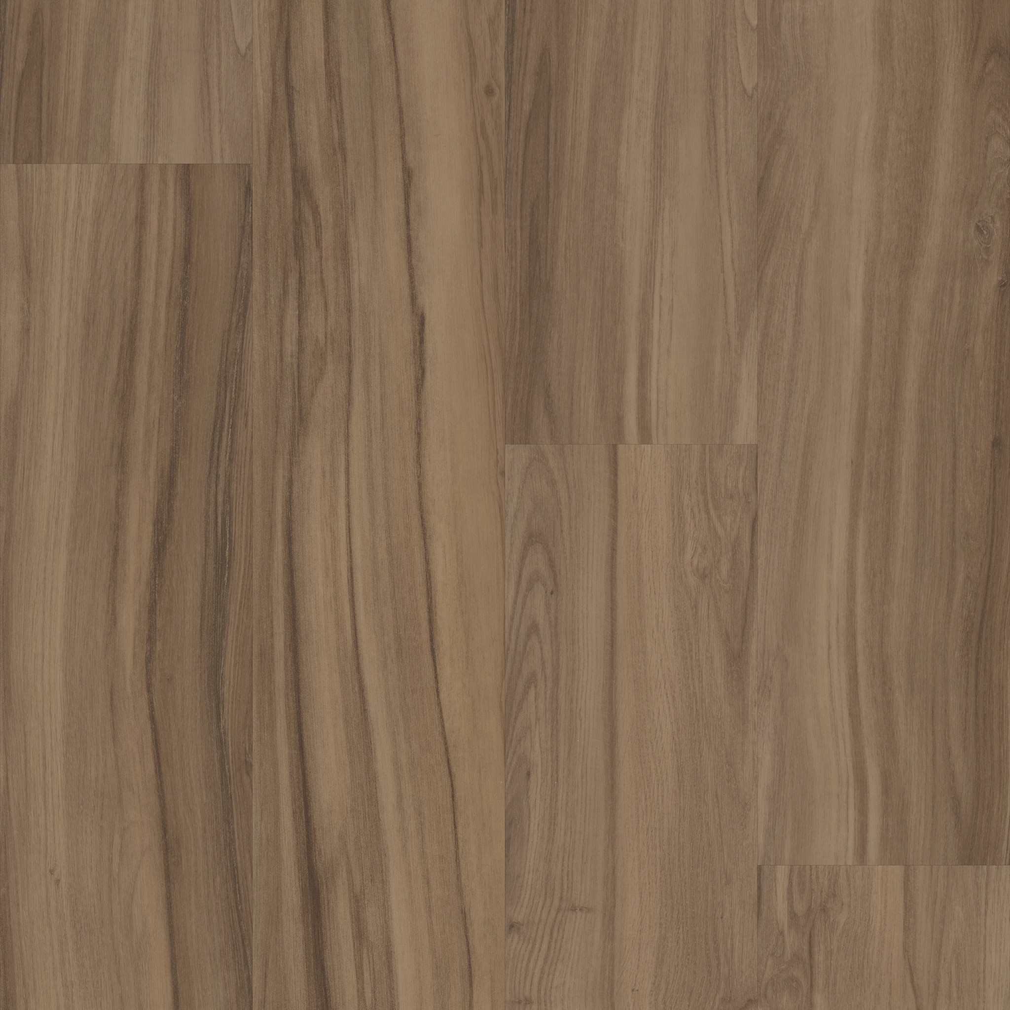 REWILD-5667V-DELIGHT-00708-main-image