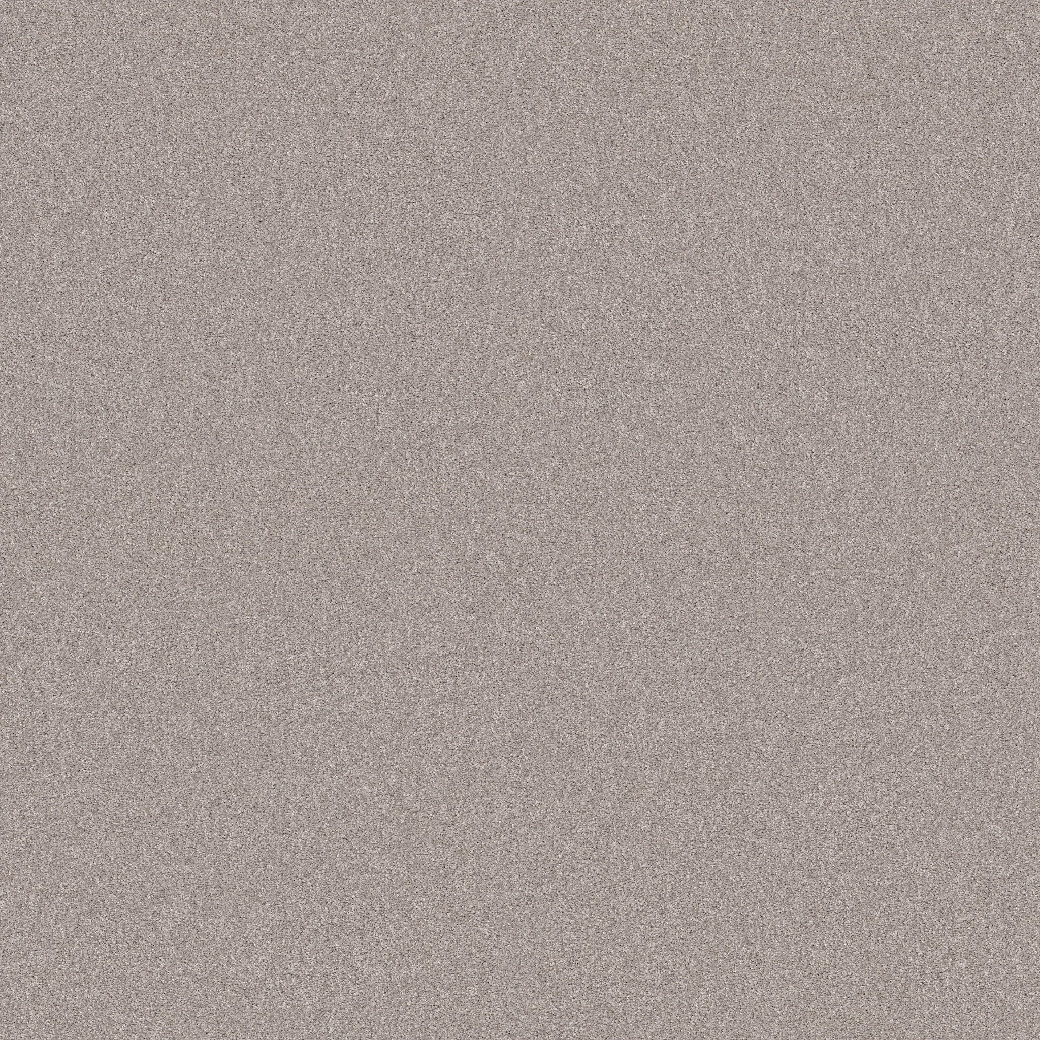 AG EXCEPTIONAL CHENILLE MAIN