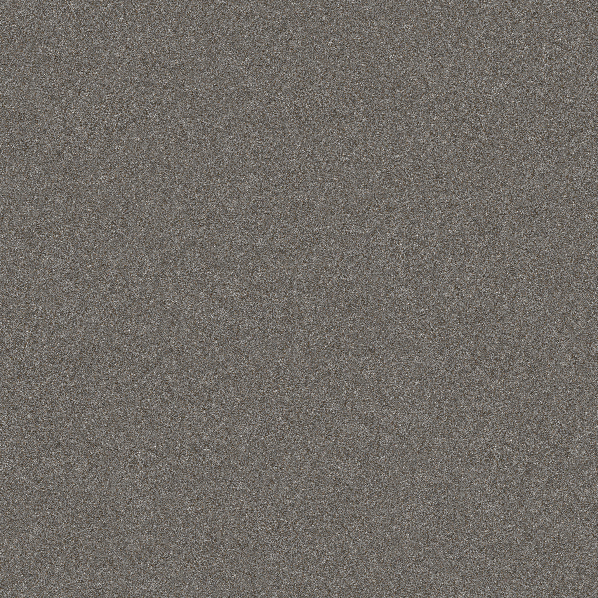 WITHOUT LIMITS II TUNDRA MAIN