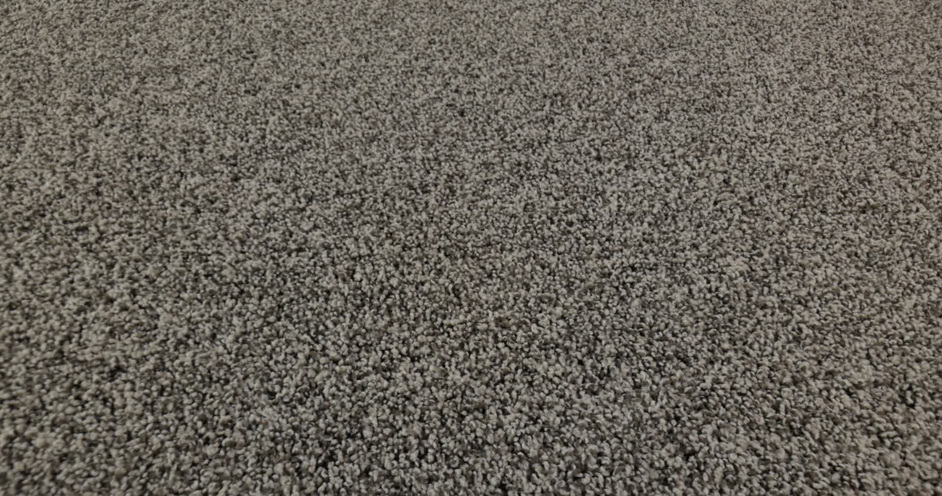 MIRA NOVA SABLE 360PROD