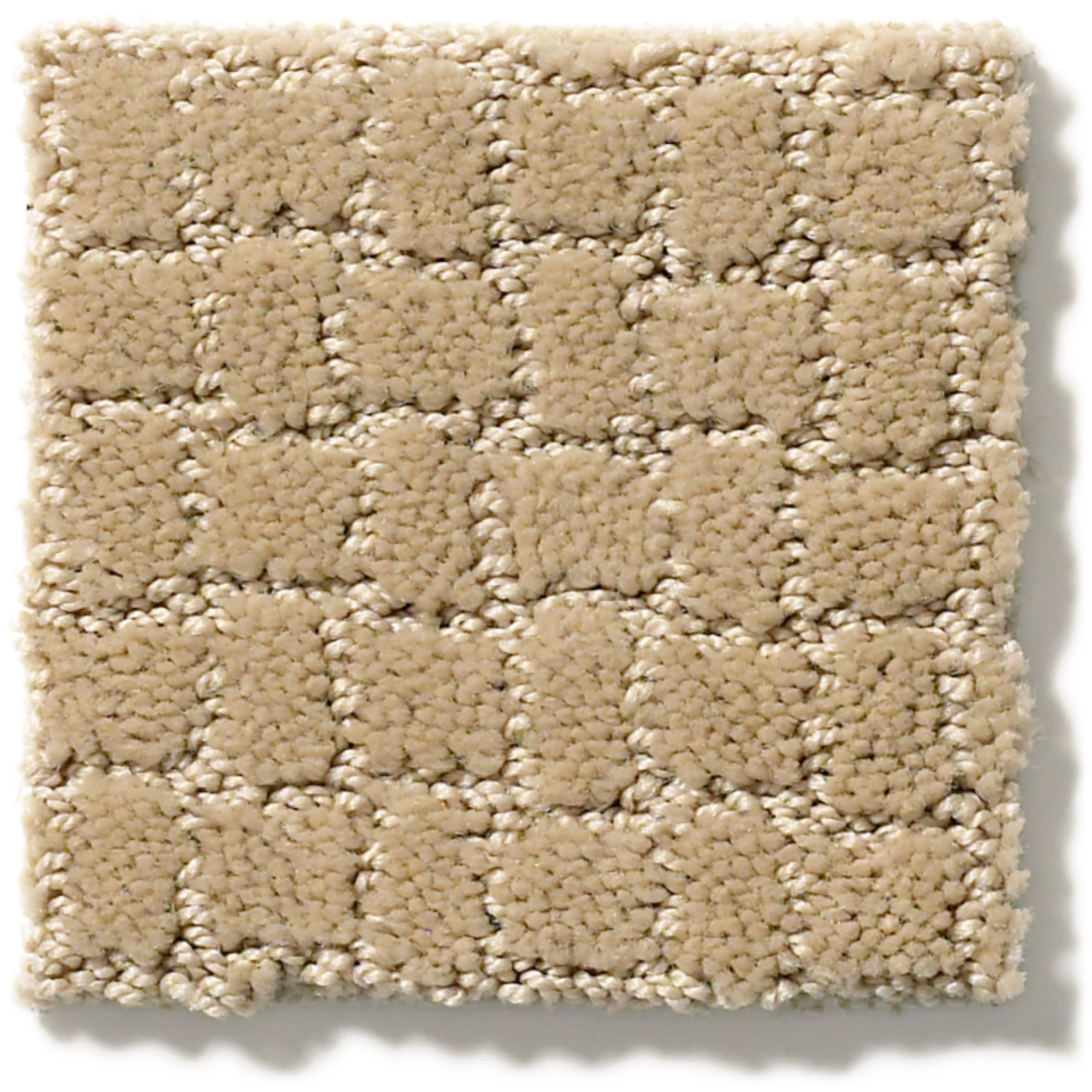 PAWSTRUCK MONTEREY SWATCH