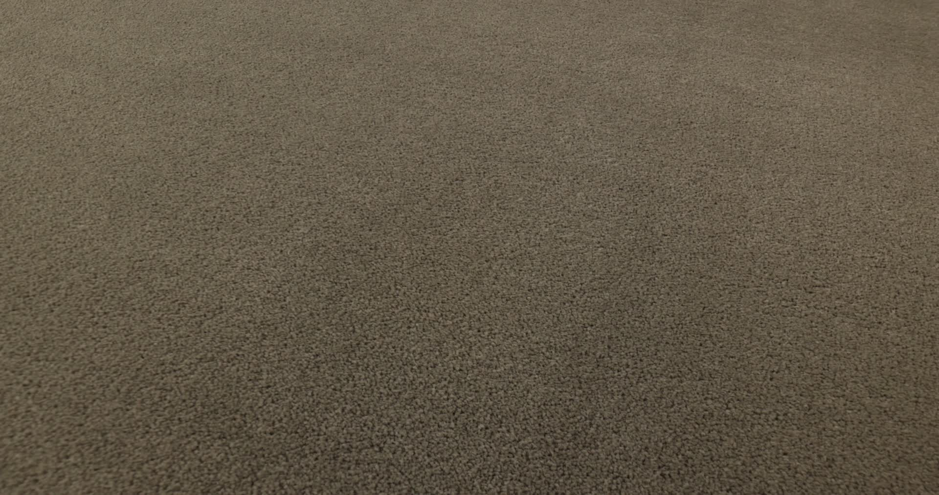 PERFECT CHOICE SLEEK SUEDE 360PROD