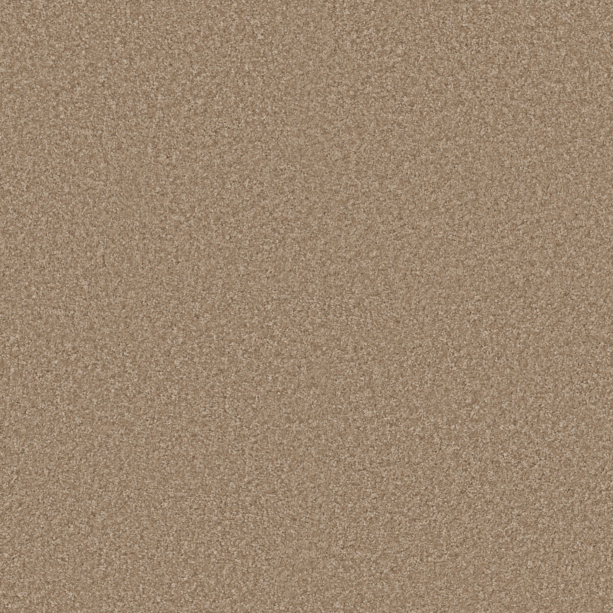 VITALIZE (S) 12' STUDIO MAIN