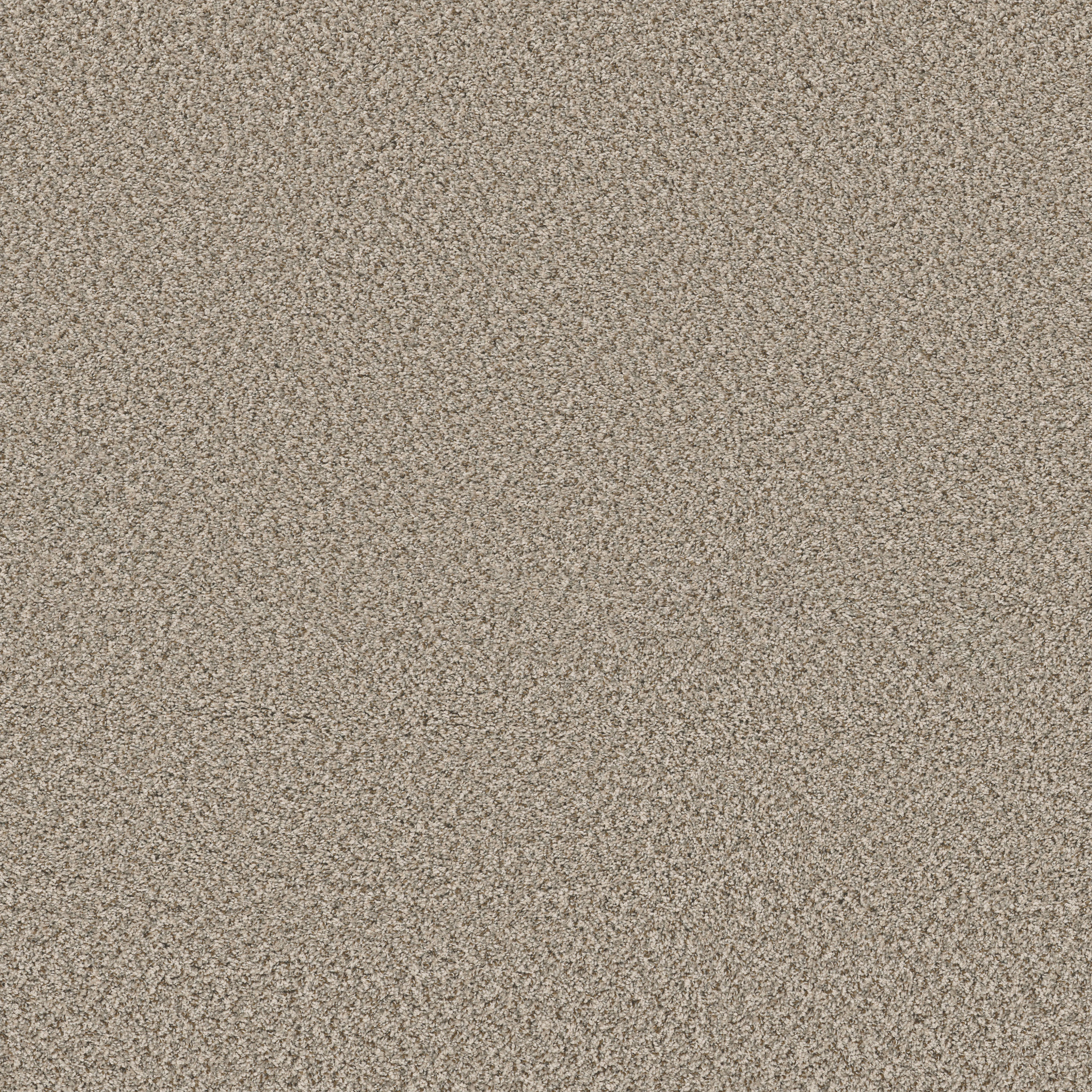 FEELIN' ALRIGHT FLAX MAIN