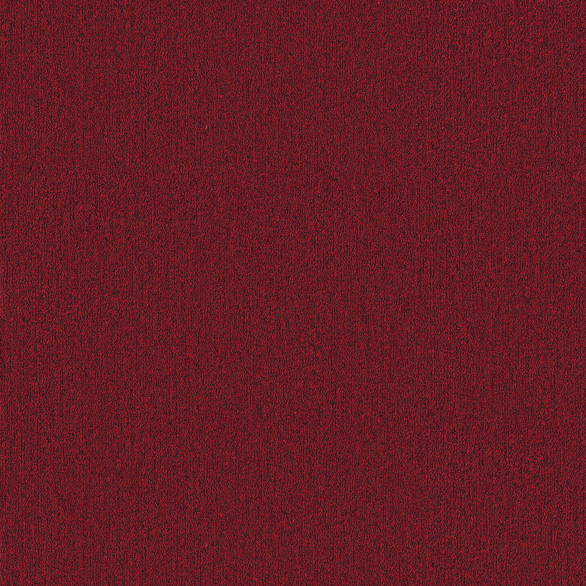 PROFUSION-20-54933-THRIVE-00830-main-image