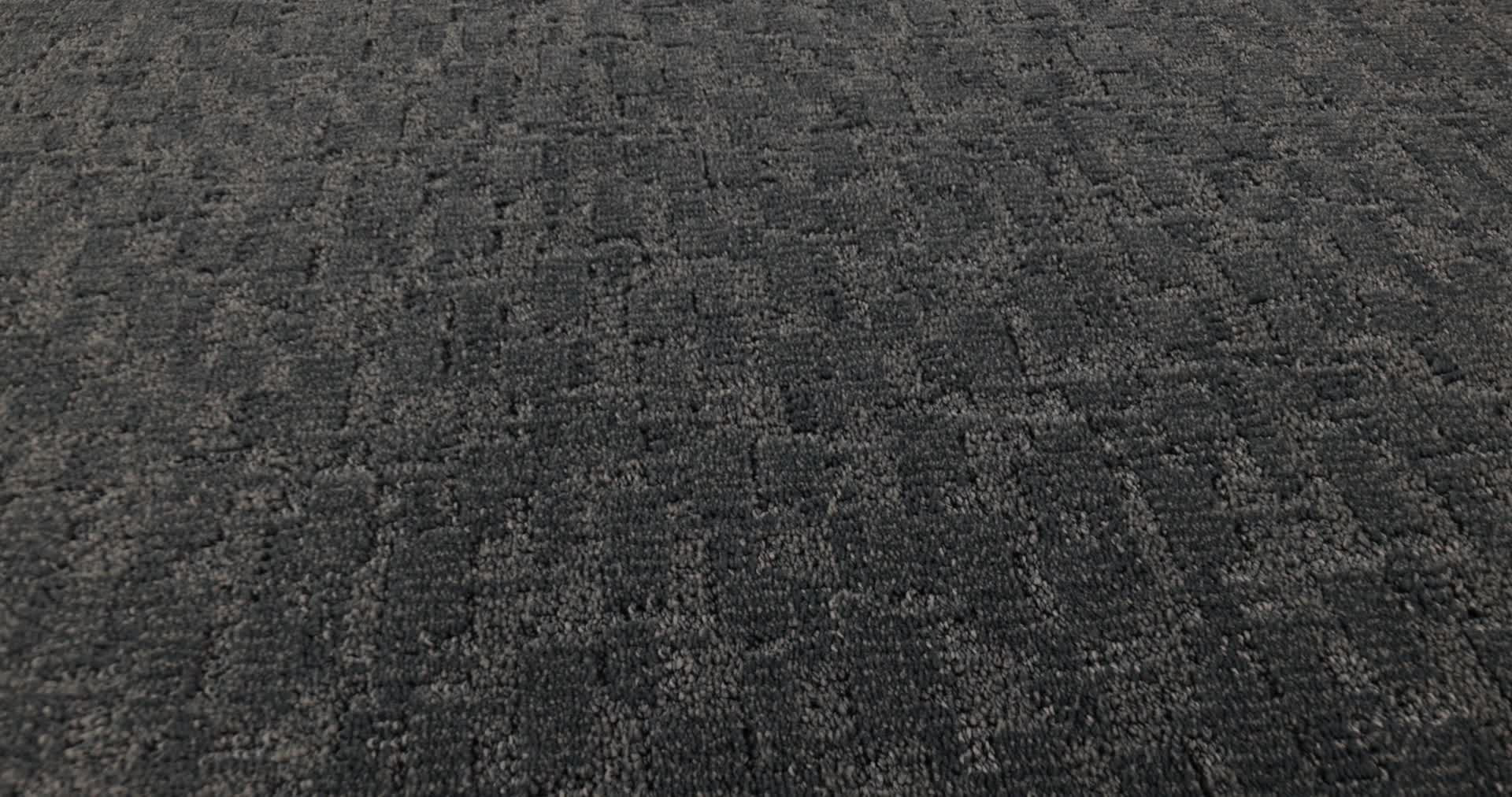 PAW-TAY WATERBURY 360PROD