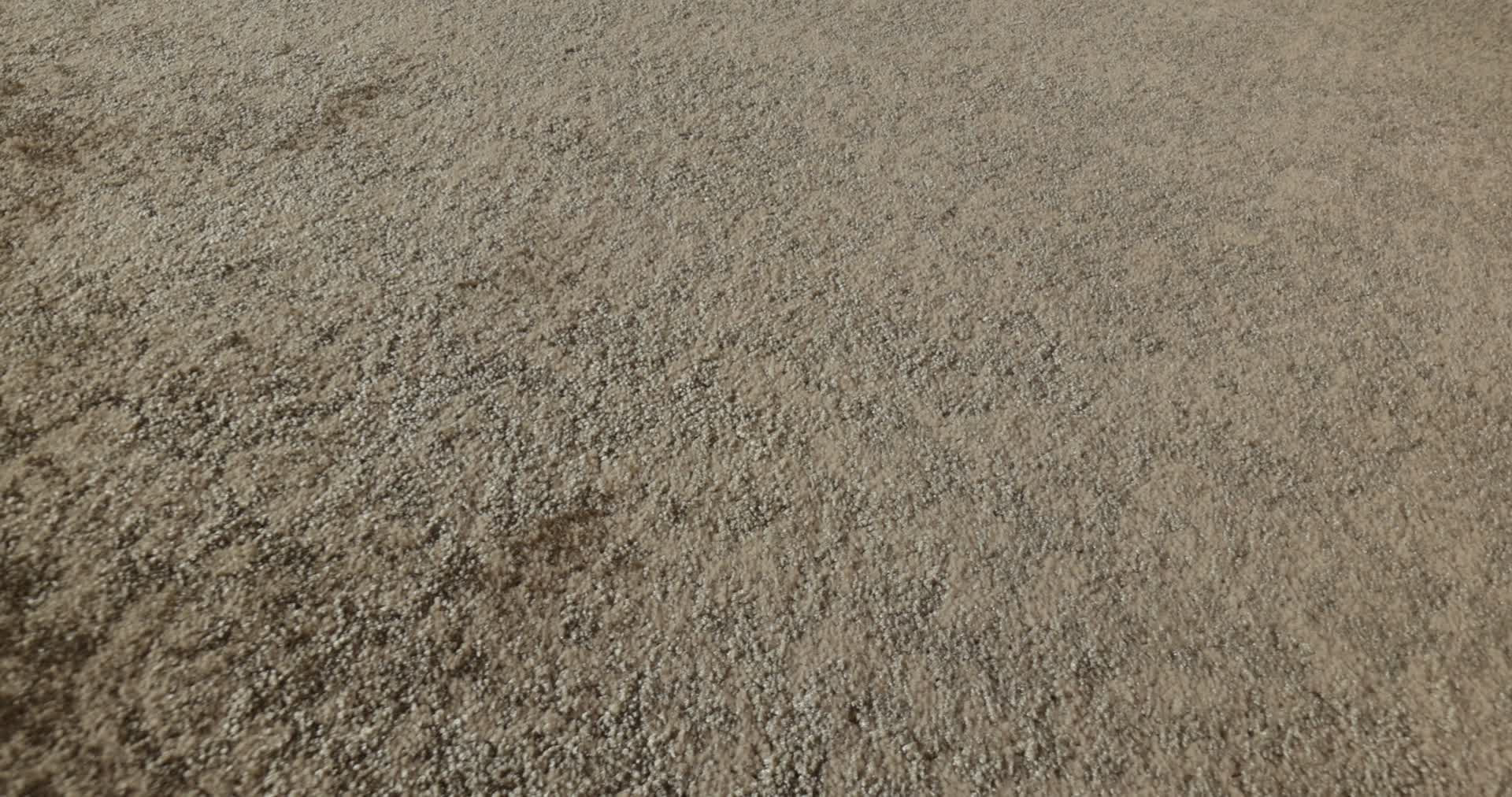 FREE SPIRIT TUMBLEWEED 360PROD