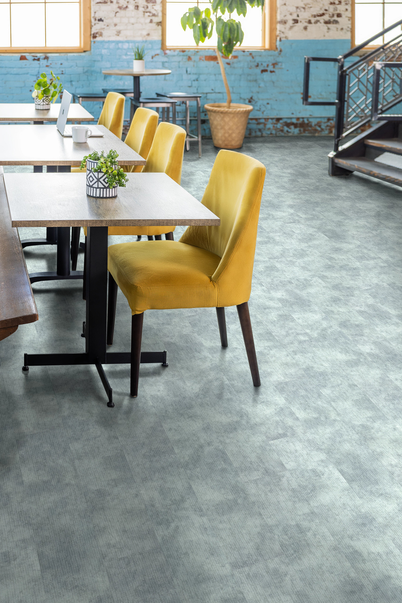 CODEX-5609V-ENCHANT-00363-room-image