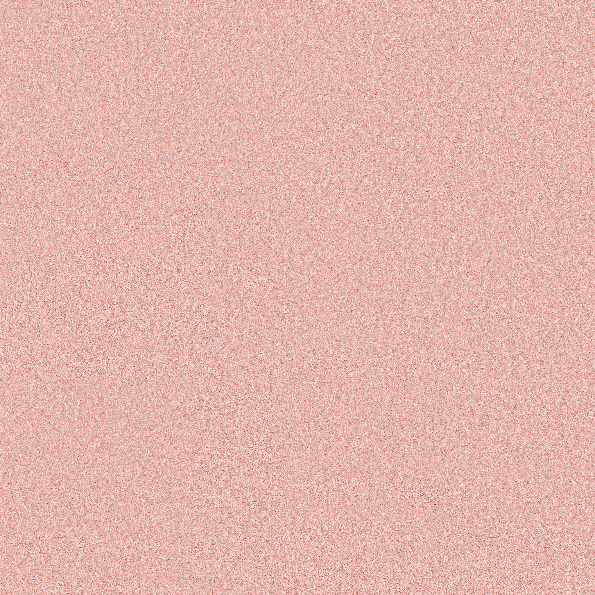 THE BRIGHT SIDE CATS PAJAMAS MAIN