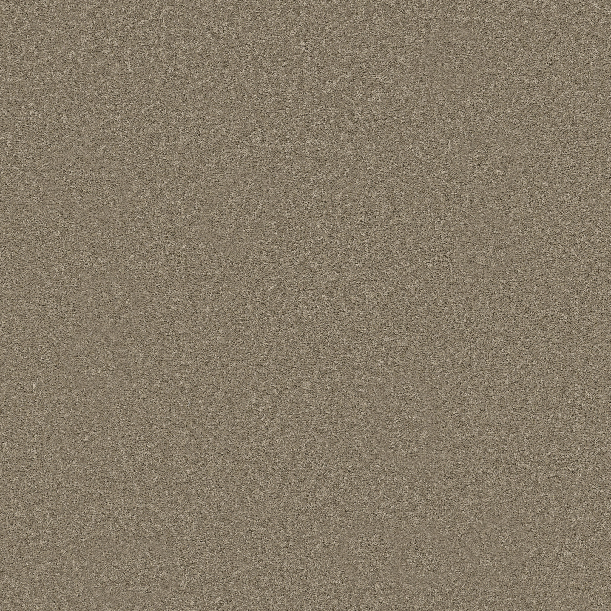 LAGUNA BEACH ASHEN MAIN