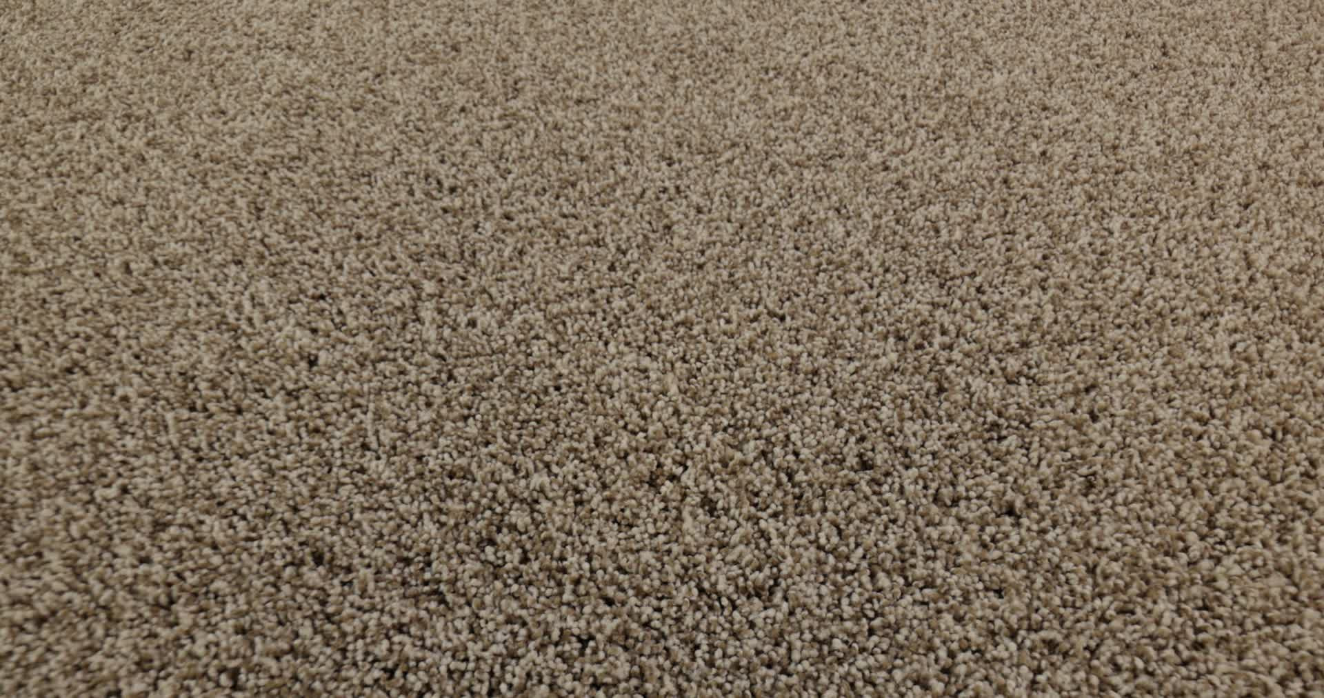 BOSSA NOVA CASCADE 360PROD