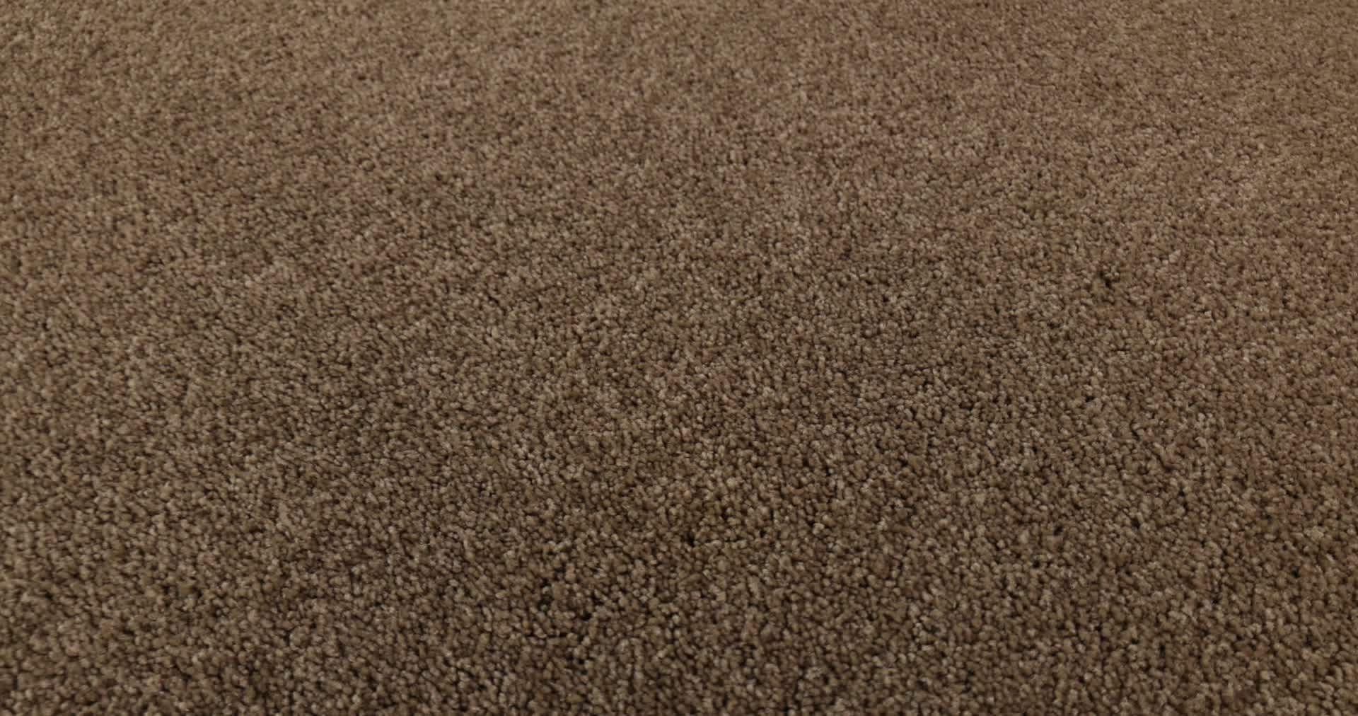 LUCKY YOU ACORN 360PROD