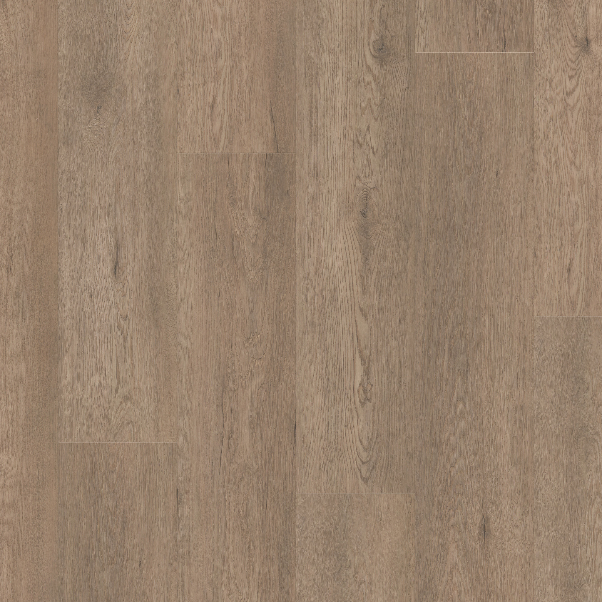 Paragon Hd+Natural Bevel - in Wisteria | Shaw Floors