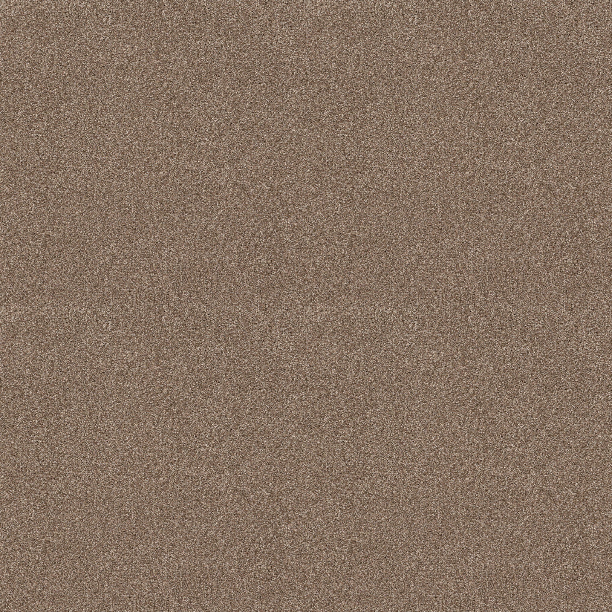 TONAL COMFORT I CAMPING TRIP MAIN