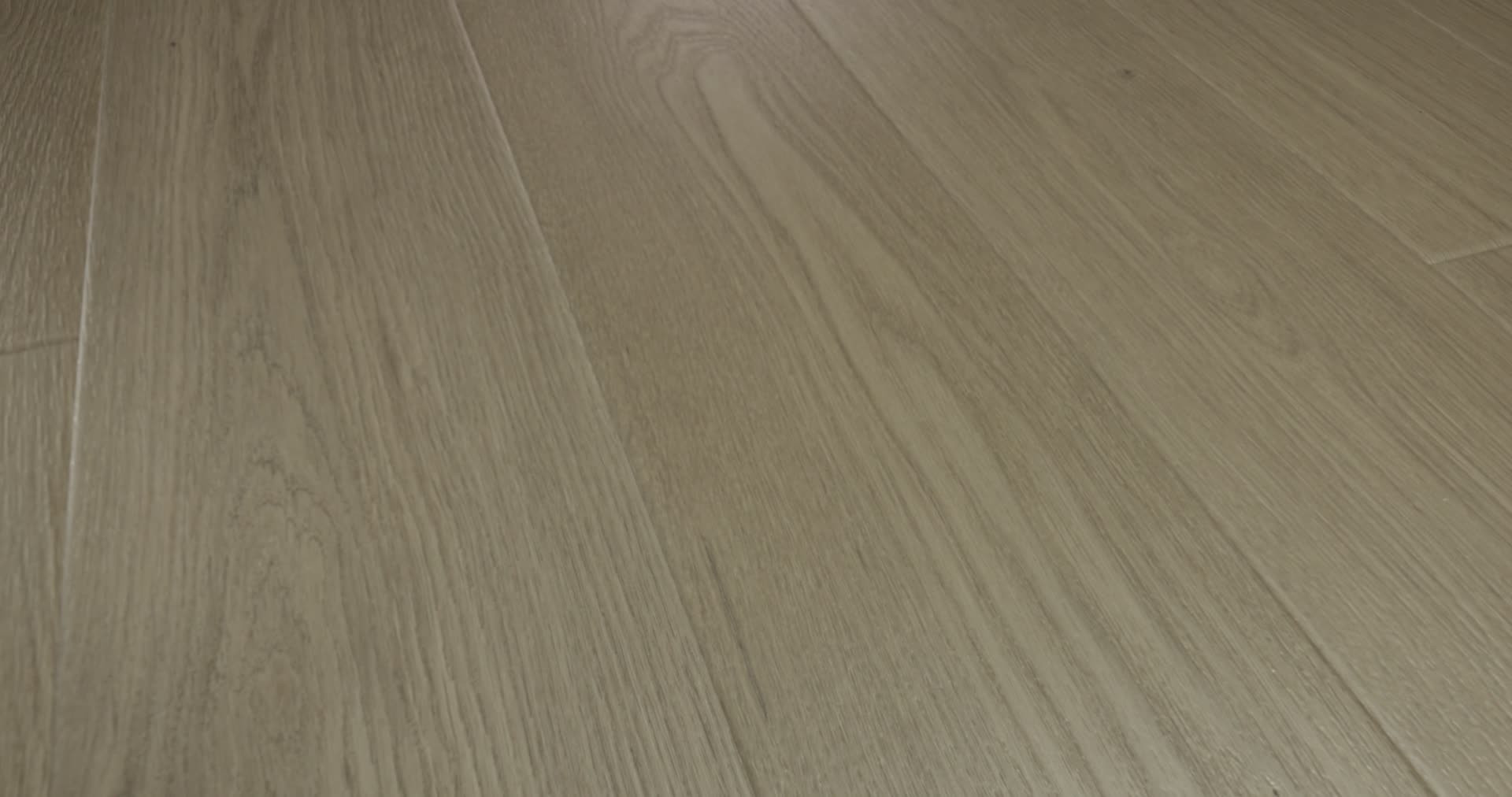 MEDITATIVE OAK 360PROD