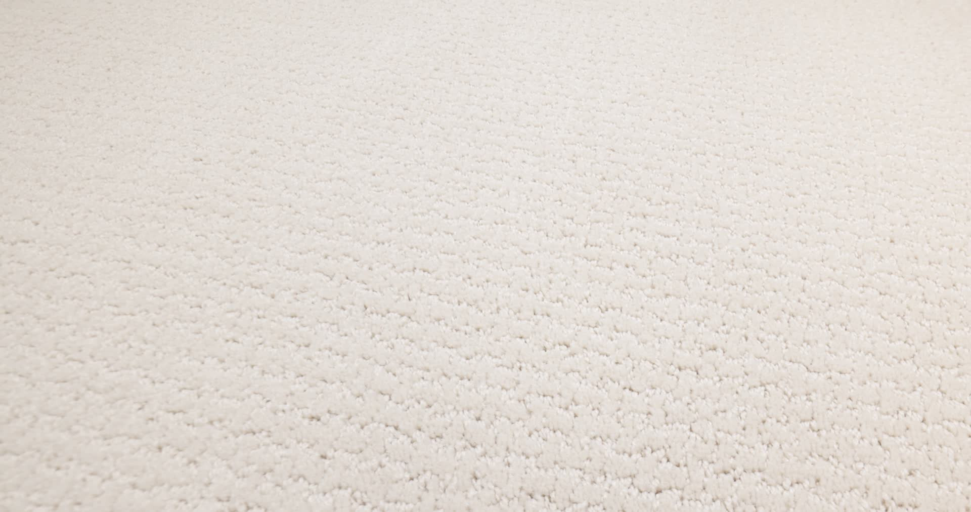 WARM MEMORIES CHAMPAGNE TOAST 360PROD