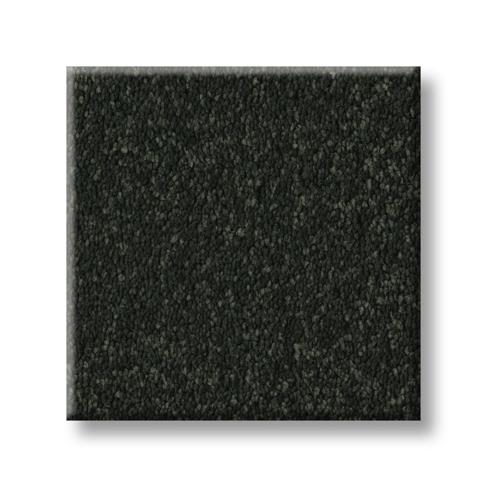 SMOOTH TONE BLUE EVERGREEN SWATCH