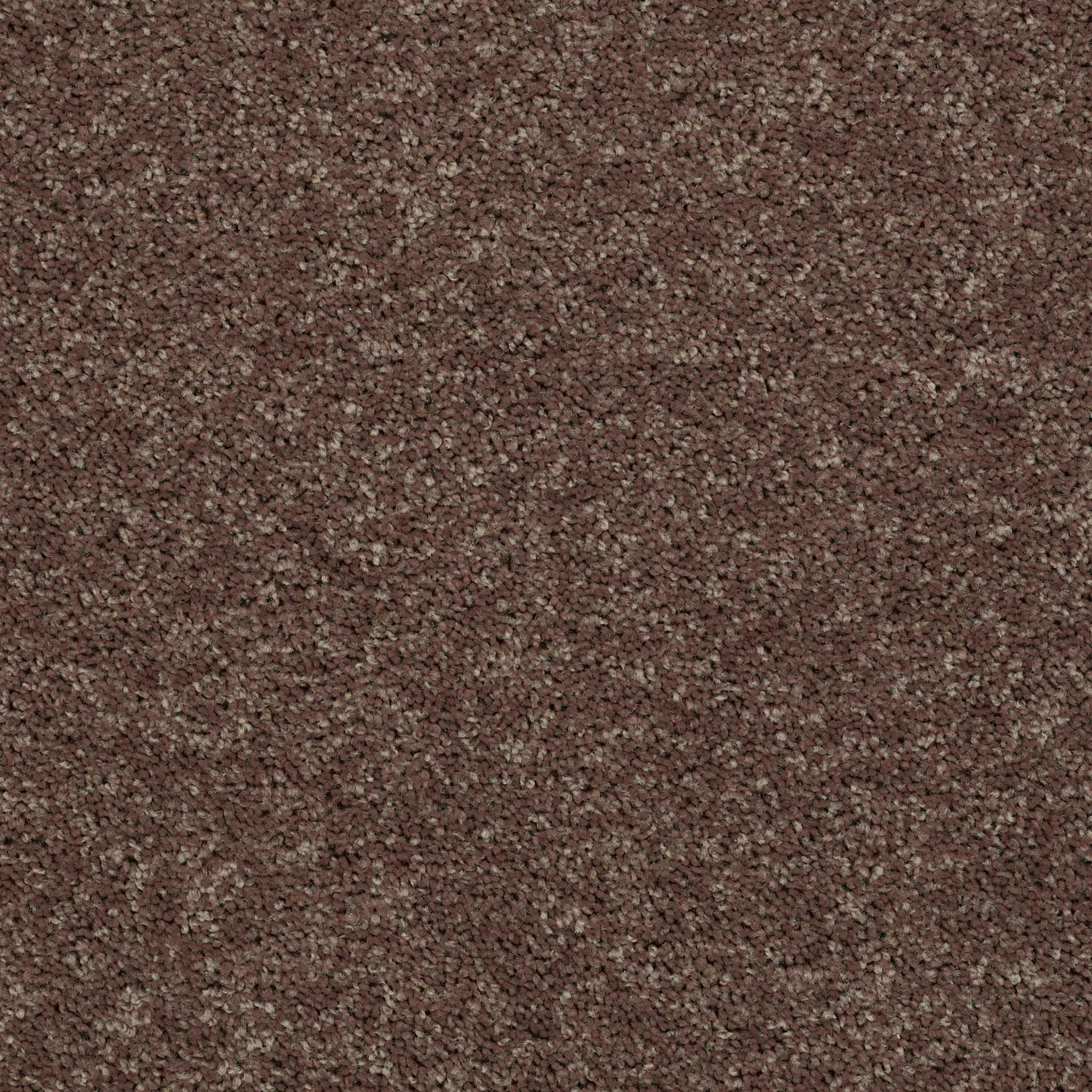 POINT GUARD 15' CATTAIL MAIN