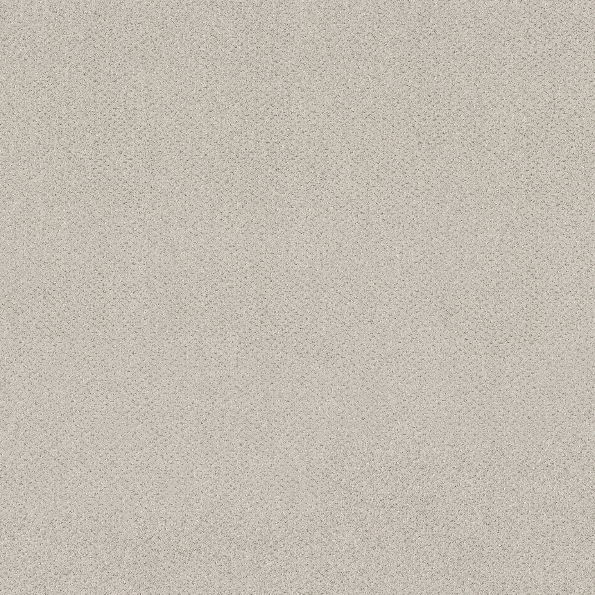 MAINSTAY WINTERS DAWN MAIN