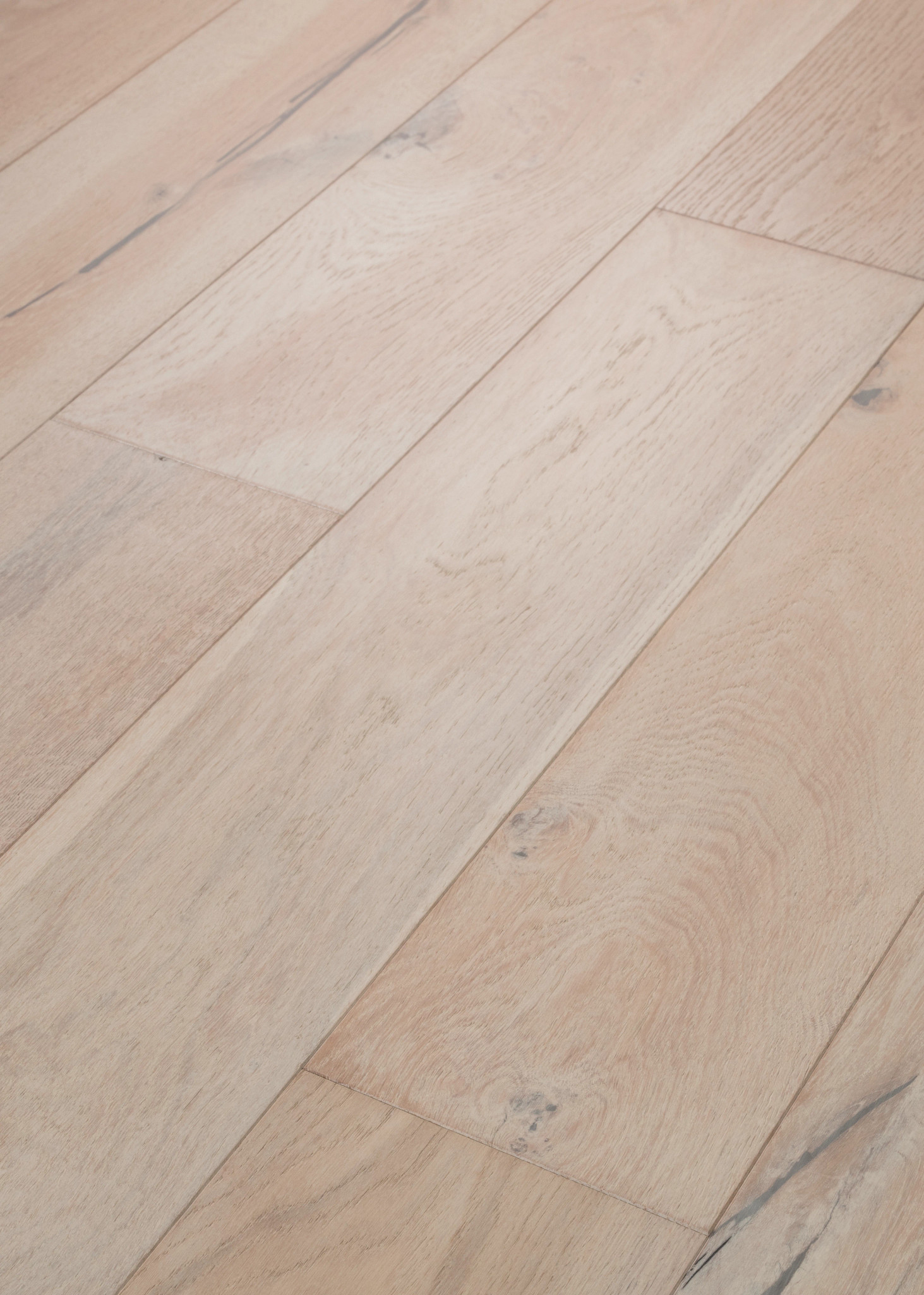 COAST TO COAST DAYBREAK ANGLED