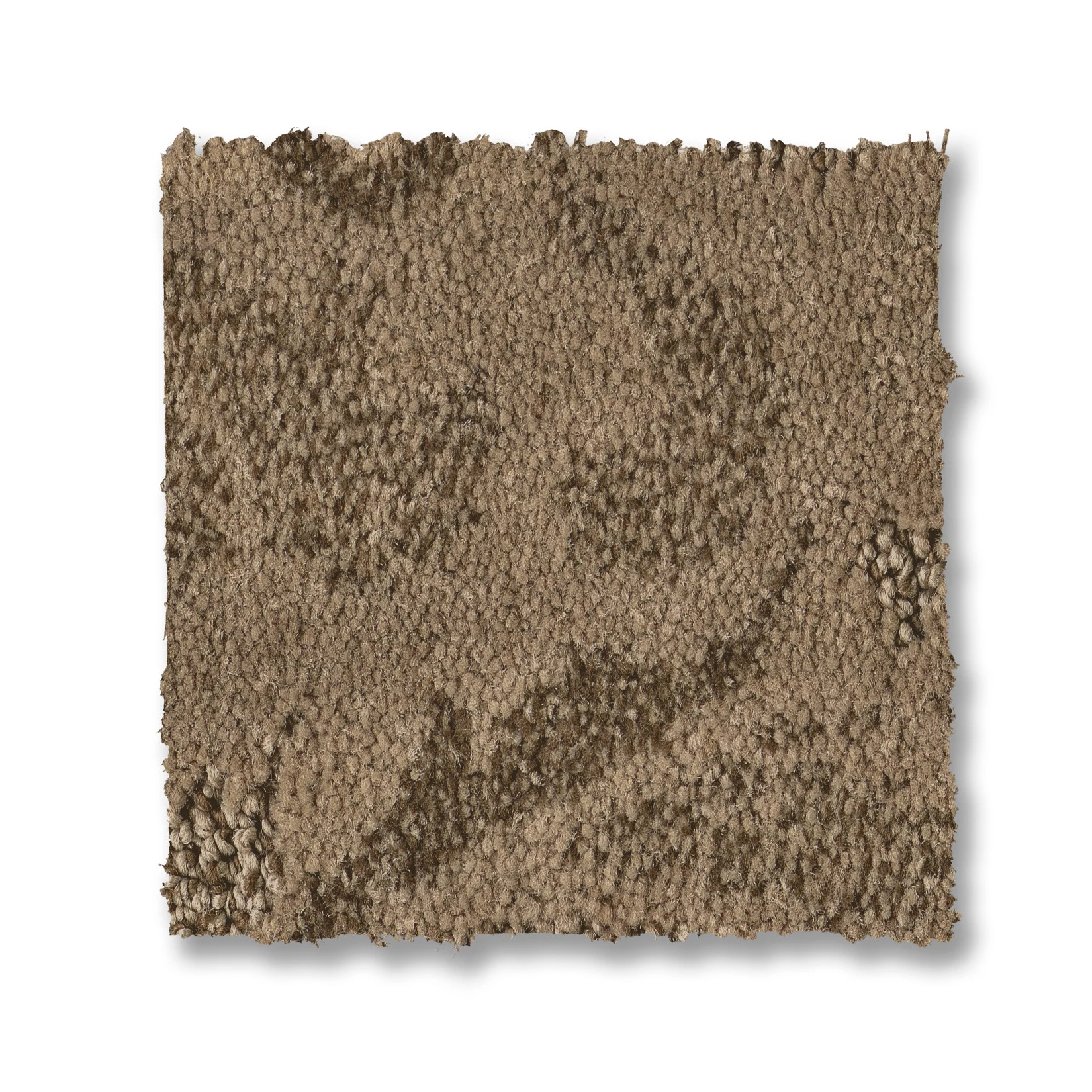 CHARISMATIC OPEN CANYON SWATCH