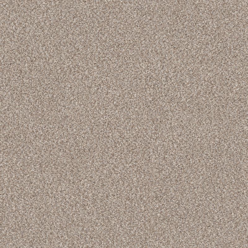 Truspirit II 5E497 Broadloom Carpet in Mist, 12ft wide, 100% PET material