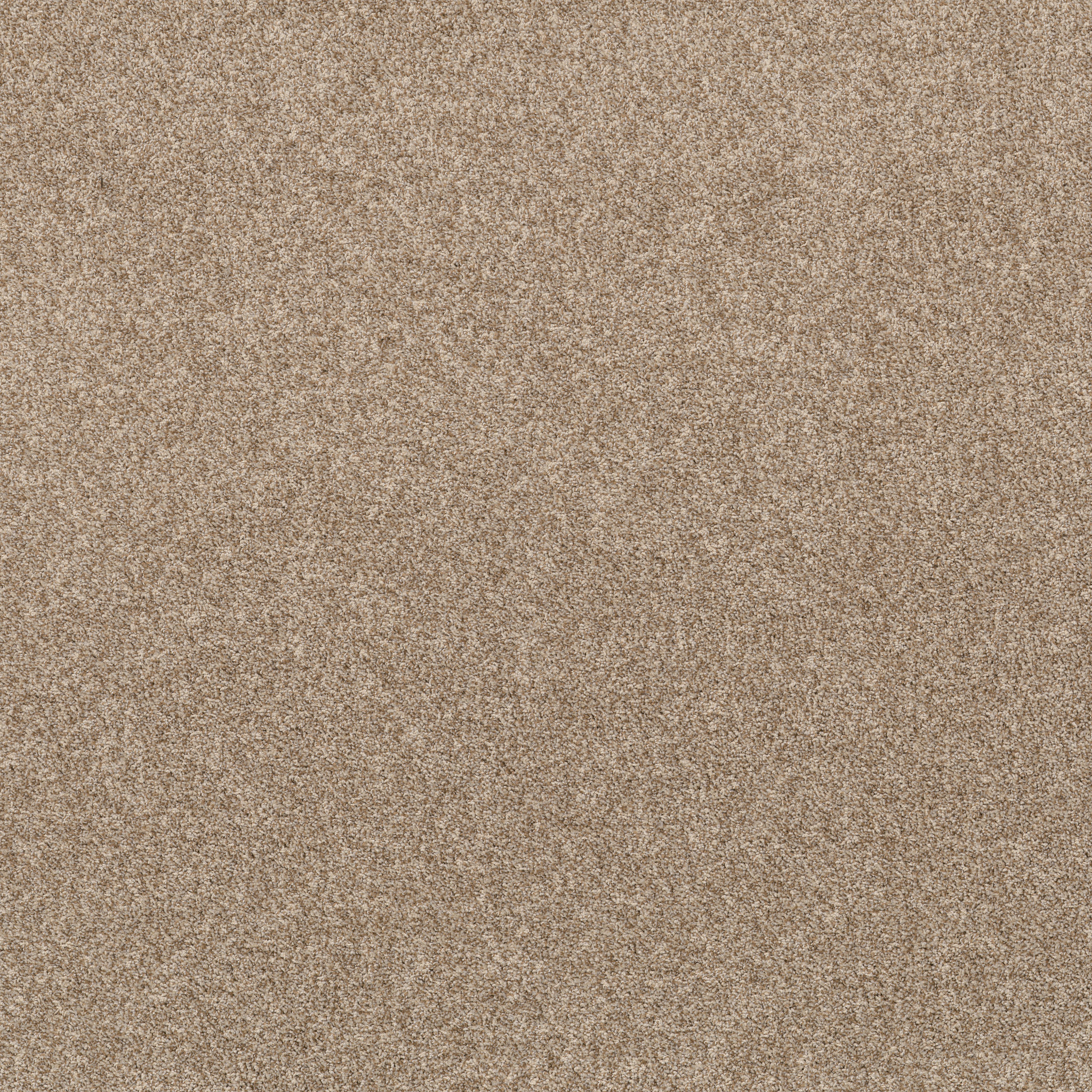 VIA NOVA POTTER'S CLAY MAIN