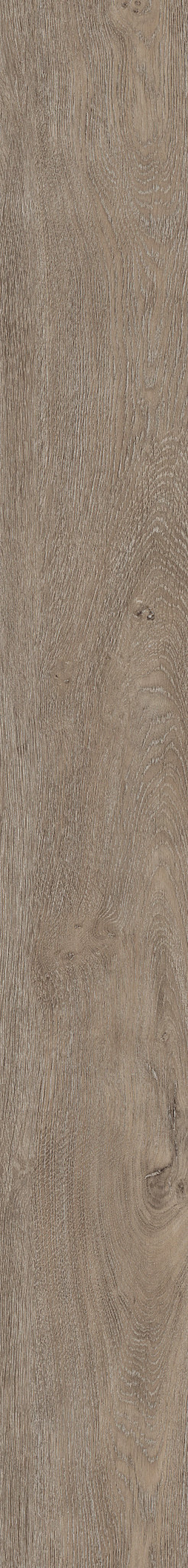 GREAT NORTHERN OAK 05 1TO1