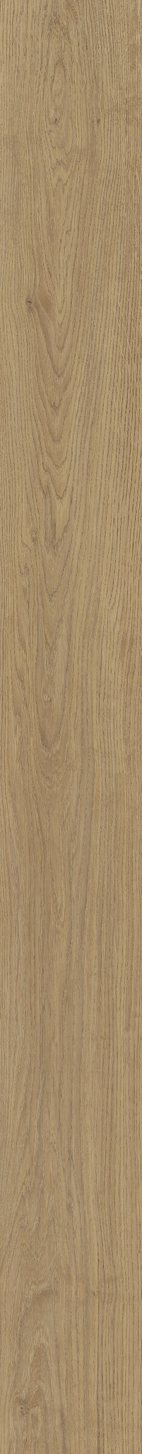 MUNSTER OAK 53 1TO1