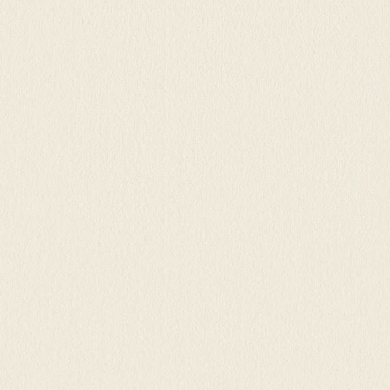 Perfect Choice Broadloom Carpet in Soft Chamois color, 100% Nylon material, 12ft width, plush cut pile construction.