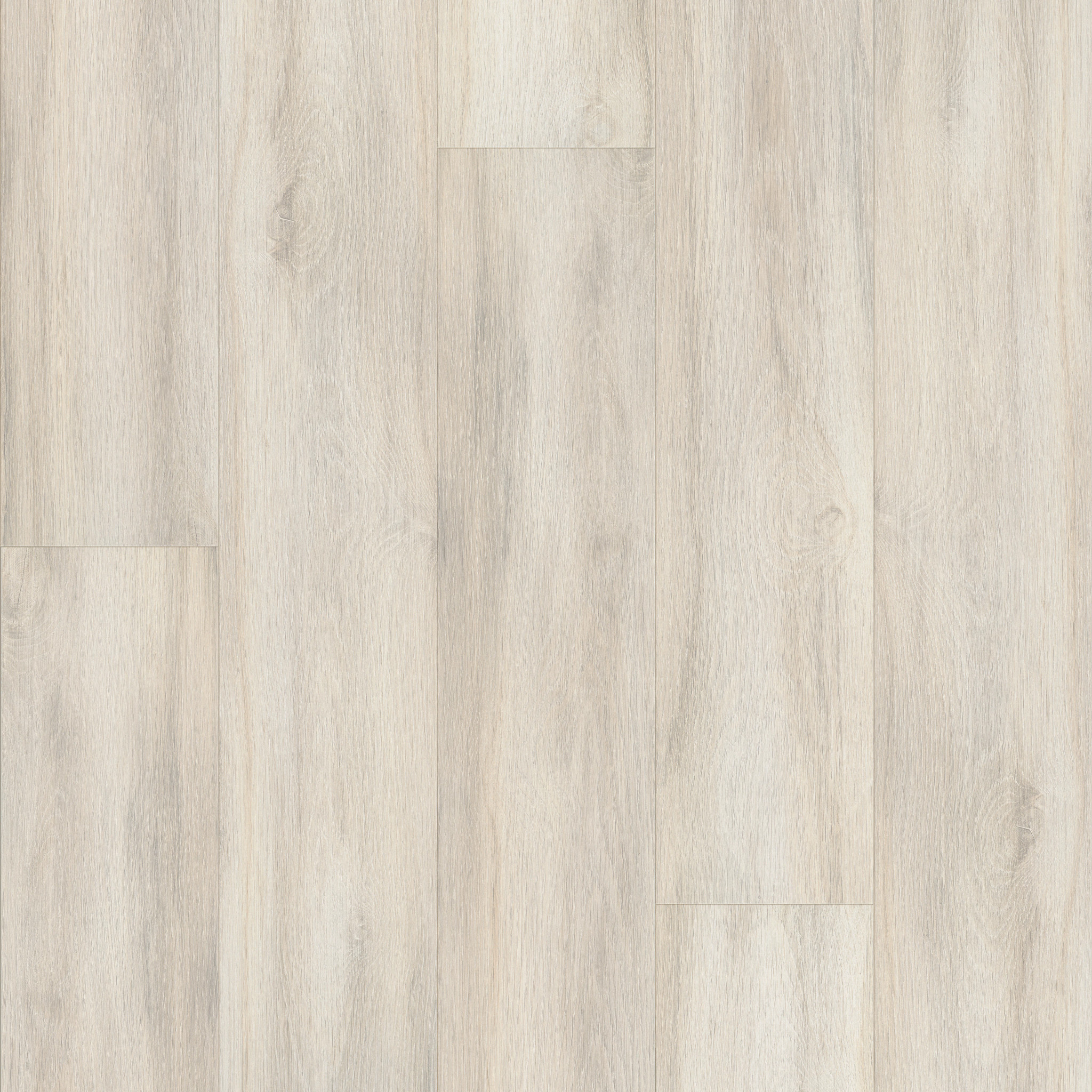 MAUNA LEAHI OAK MAIN