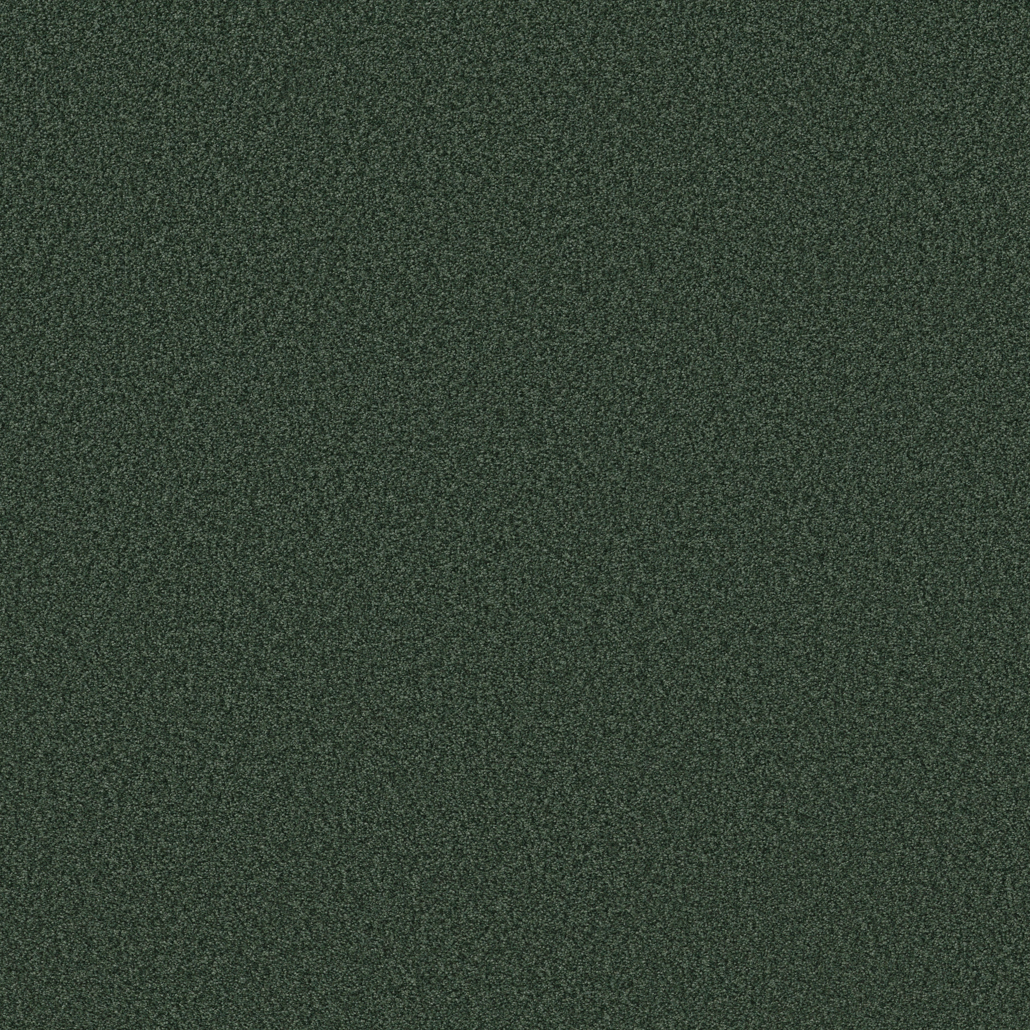 TONAL COMFORT BLUE MAGNOLIA BRANCH MAIN