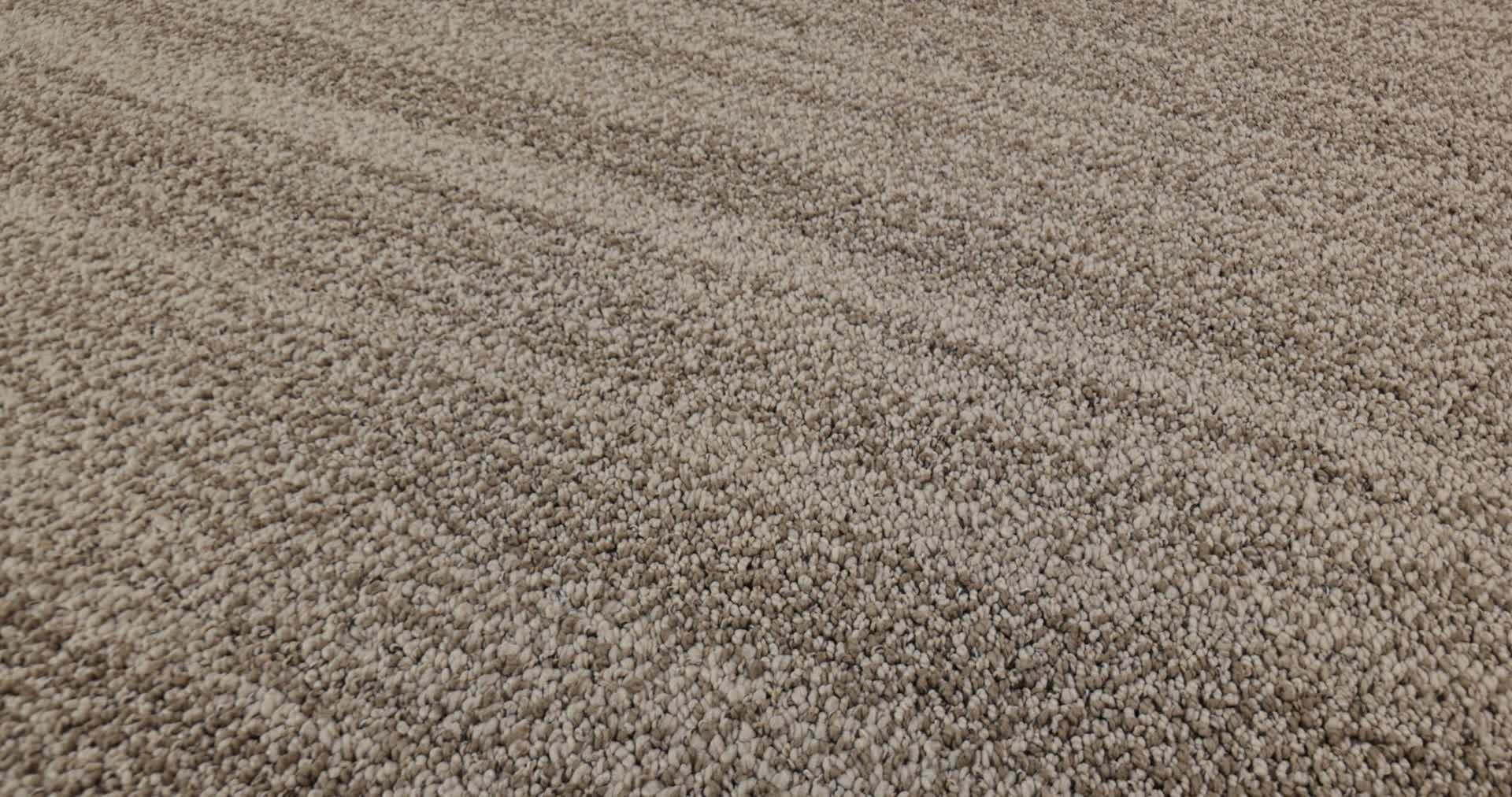 IN TEMPO DUNES 360PROD