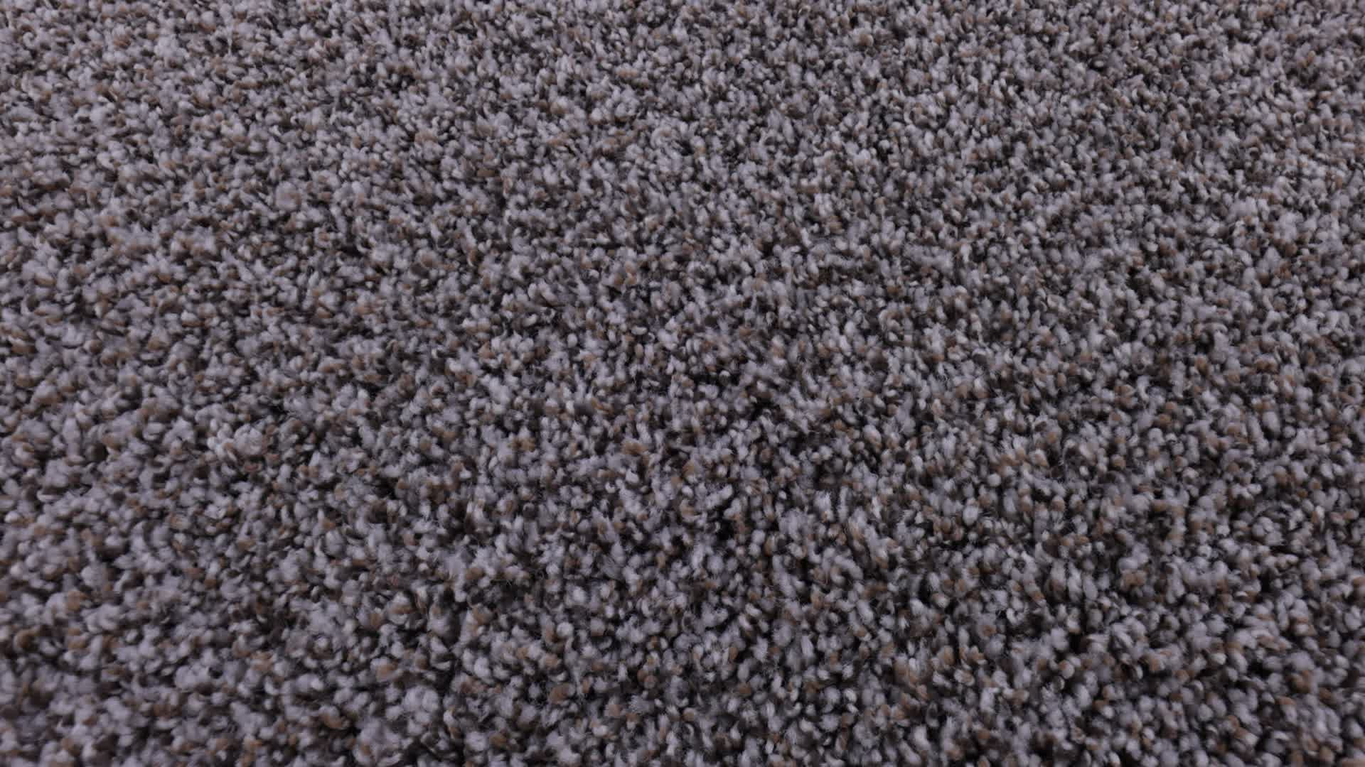 BREAK FREE INCOGNITO 360PROD