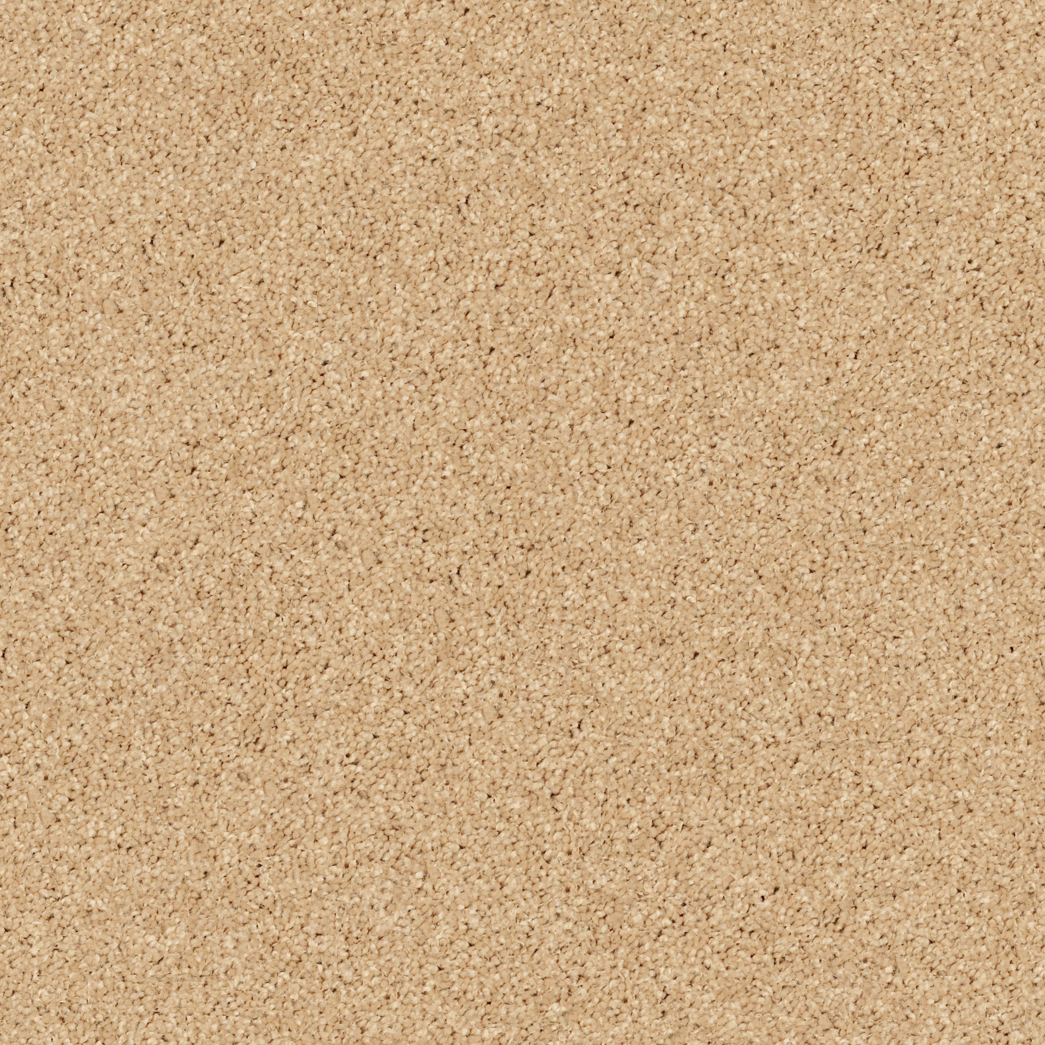 FIELDER'S CHOICE 12' SUN BEAM MAIN