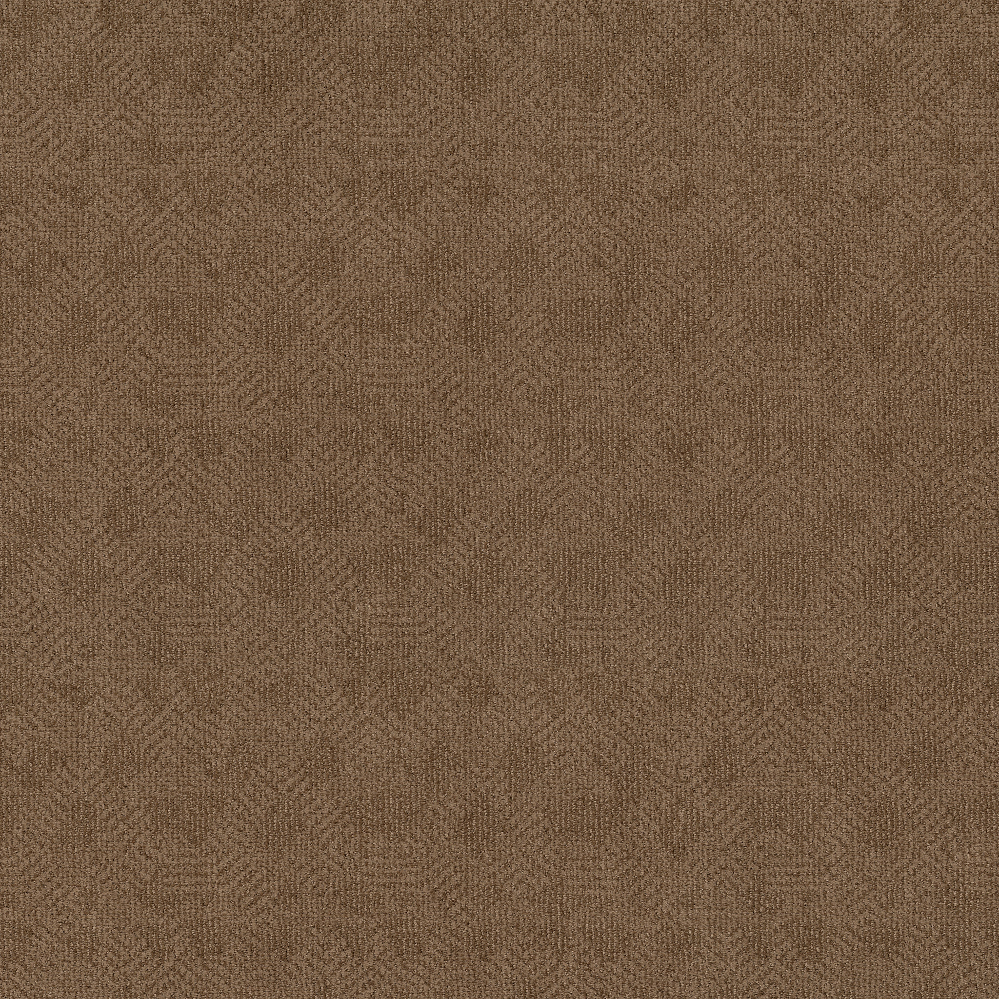 ARIO DESERT BEACH MAIN