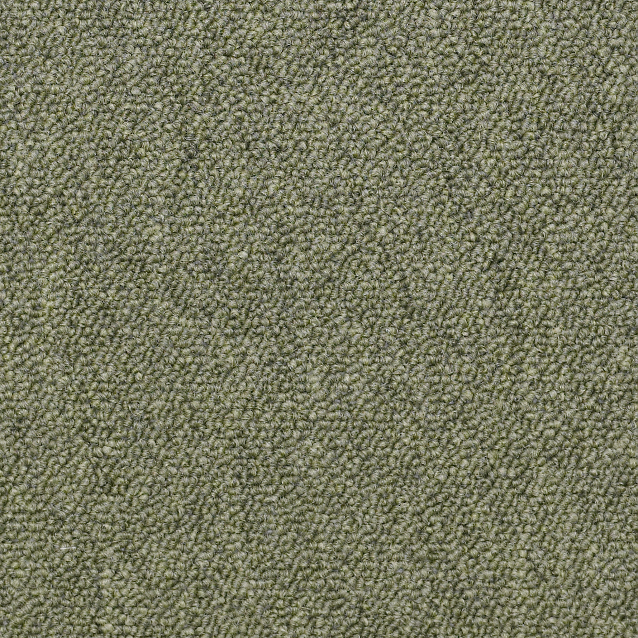 CAPITAL-III-TILE-54480-DISTINGUISHED-80301-main-image