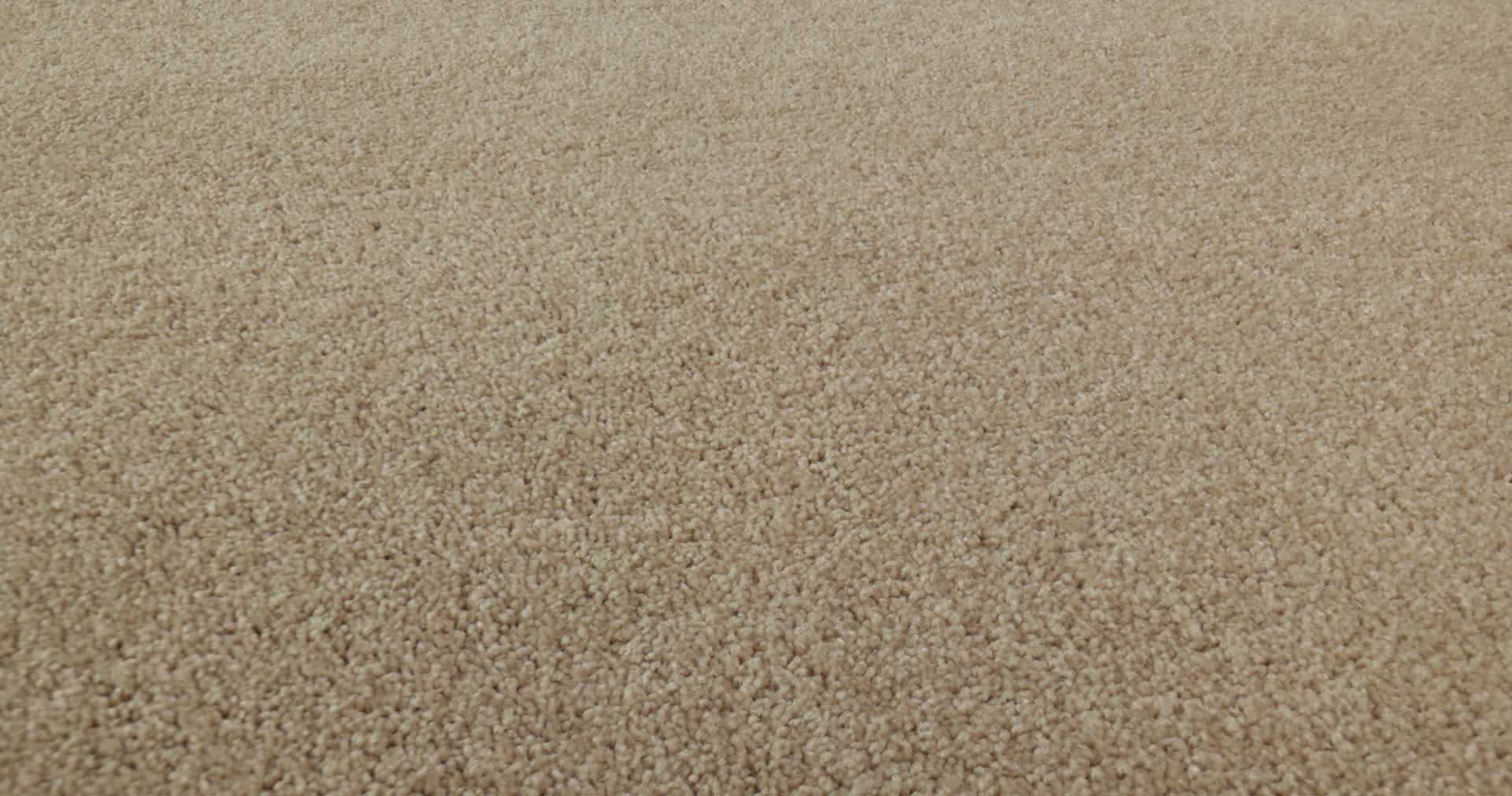 NEWBERN CLASSIC 12' SAND DOLLAR 360PROD