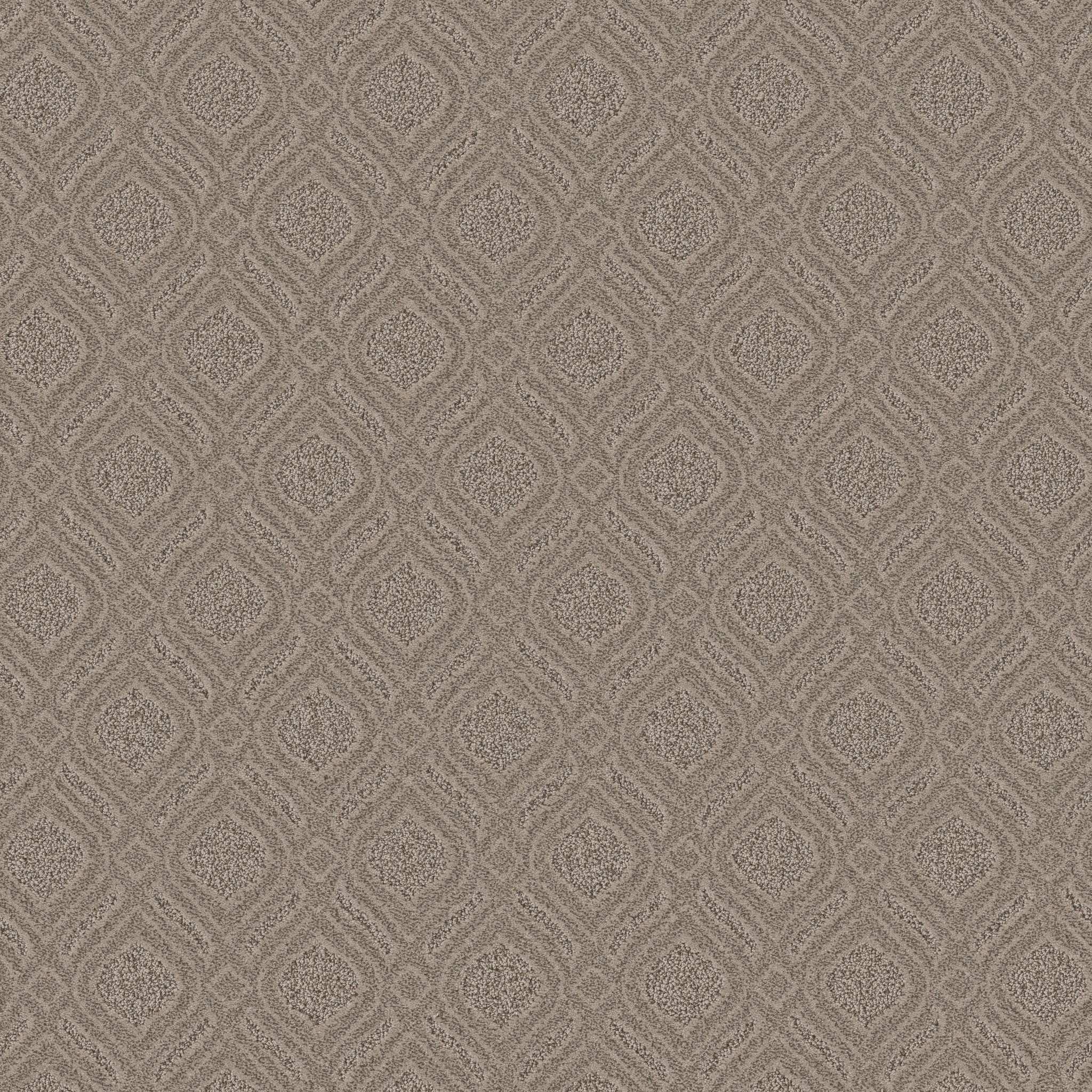 EXPRESSIVE TOASTY GRAY MAIN