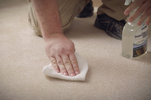 A person on their hands and knees spot cleaning carpet