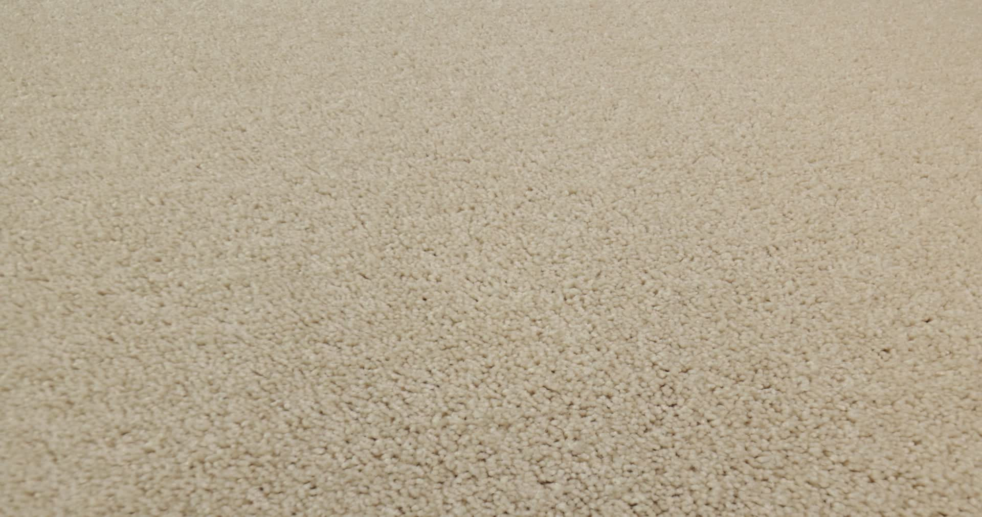 SUN VALLEY 12 VANILLA CUSTARD 360PROD