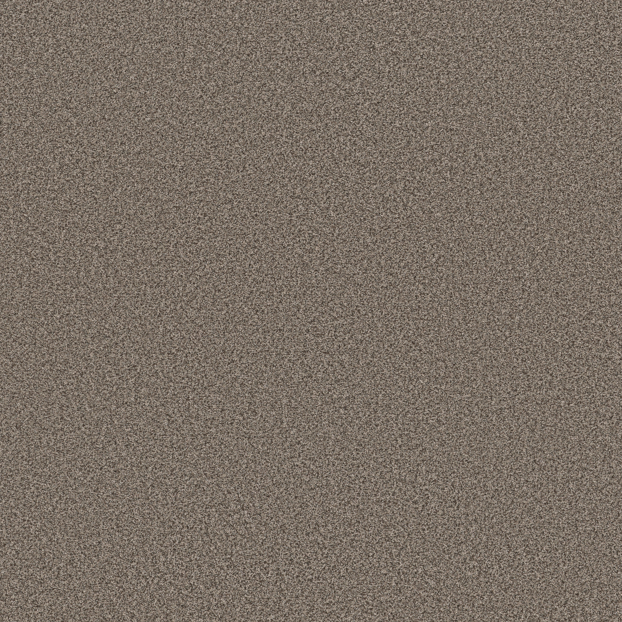 AVALON BAY OTTERTAIL MAIN