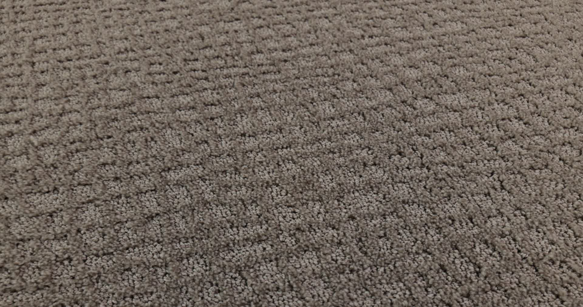 CHIC SHADES RIVER RUN 360PROD