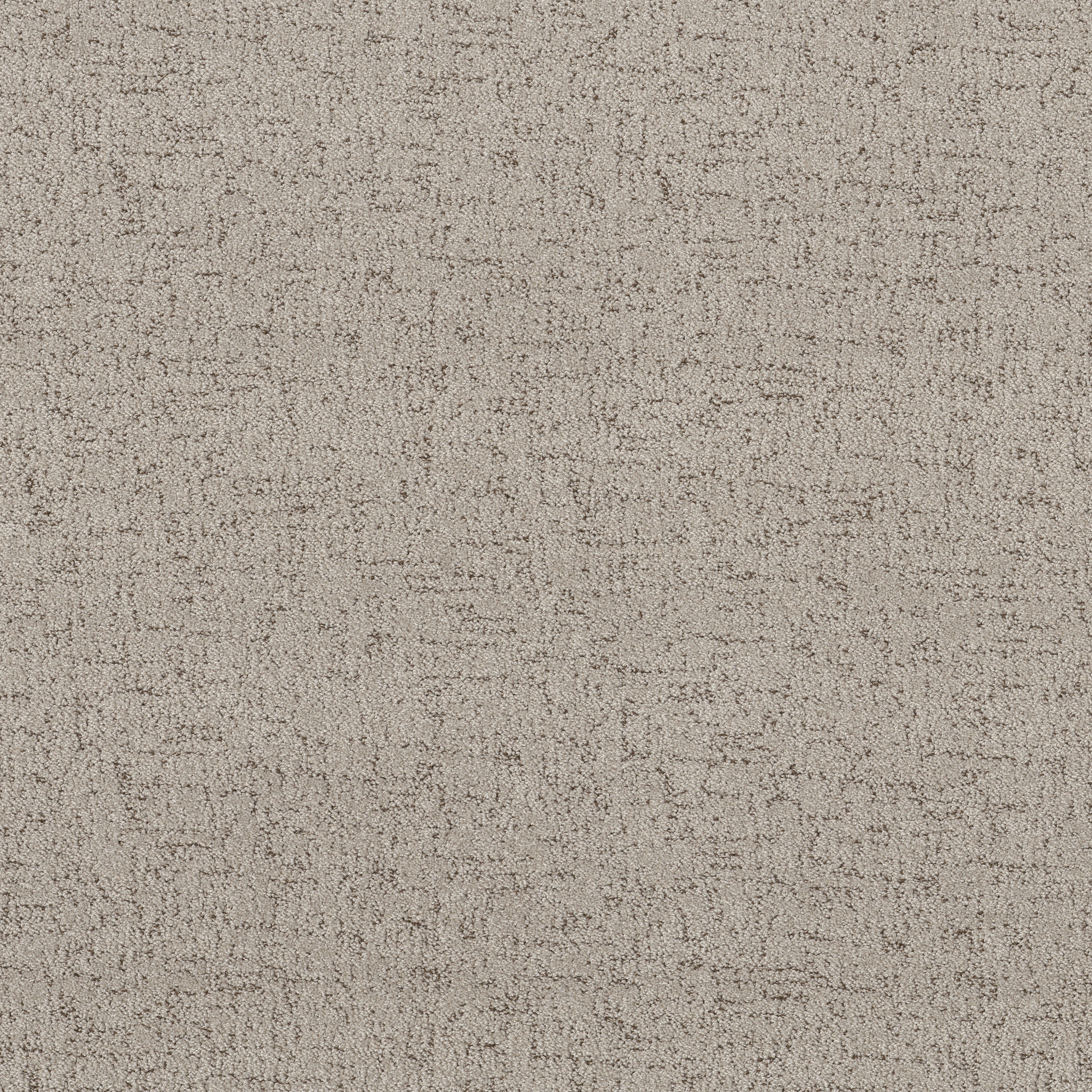 Run Free RIVER BIRCH MAIN