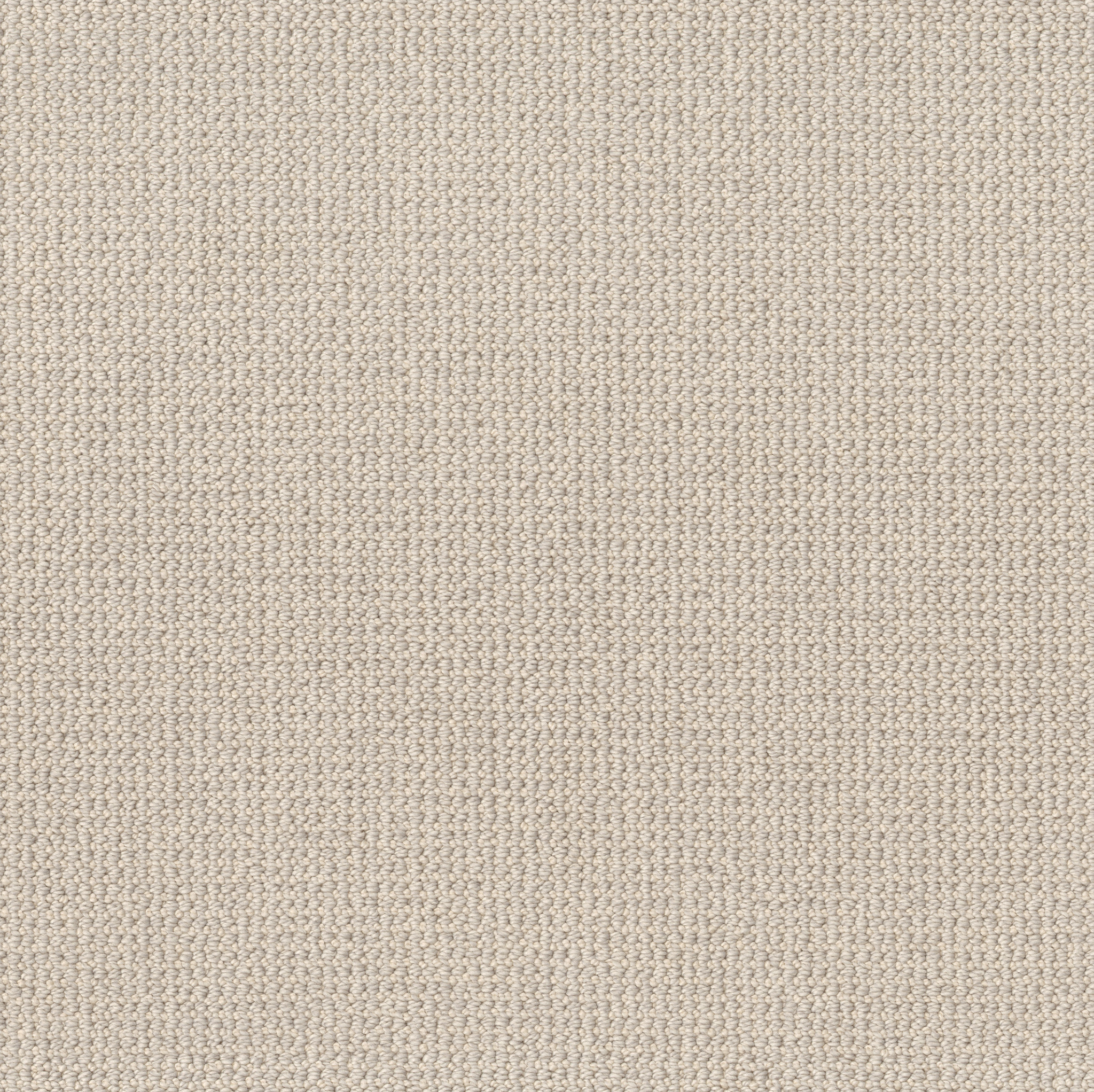 PURRFECTION MOCHA CREAM MAIN