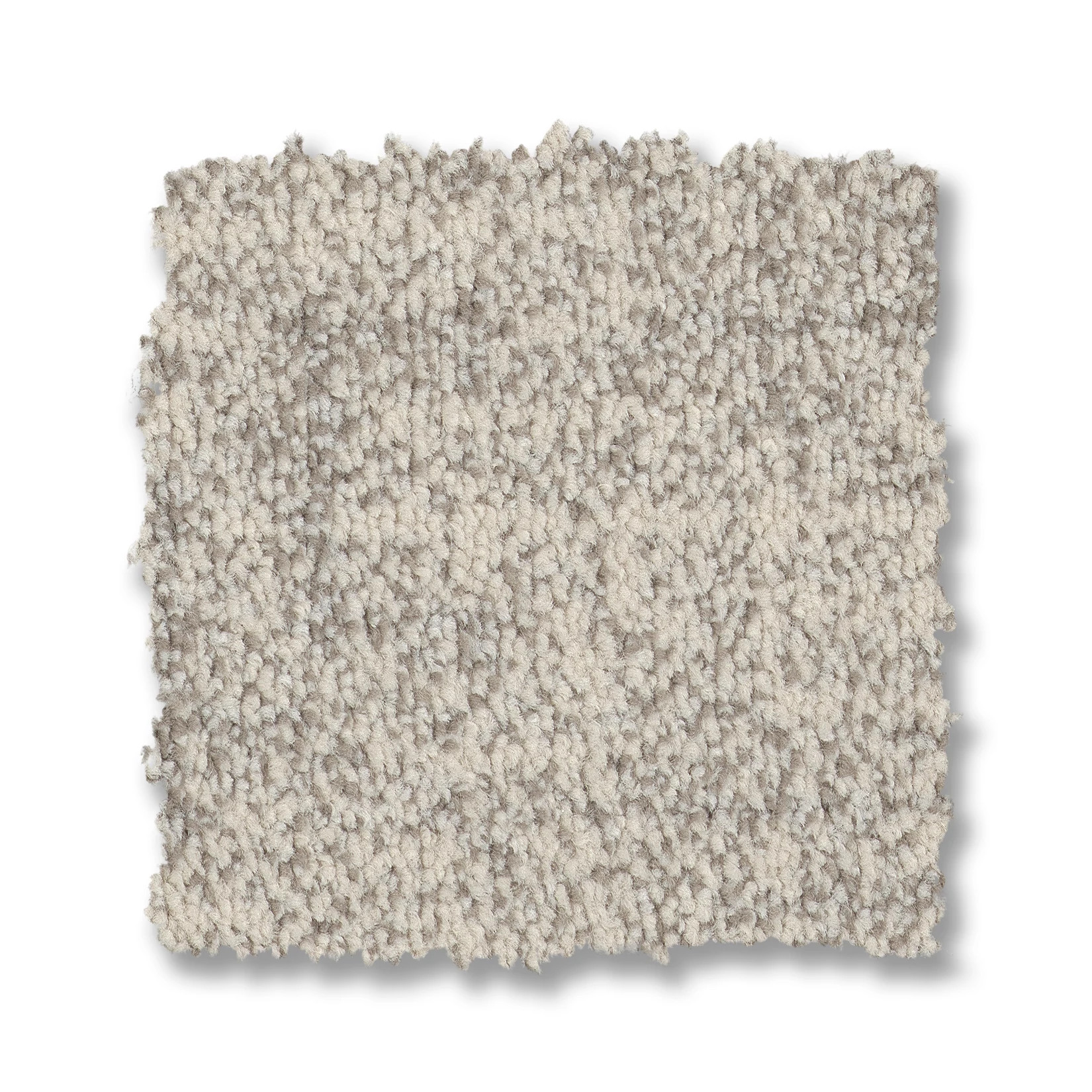 SILHOUETTE ARCTIC HARE SWATCH