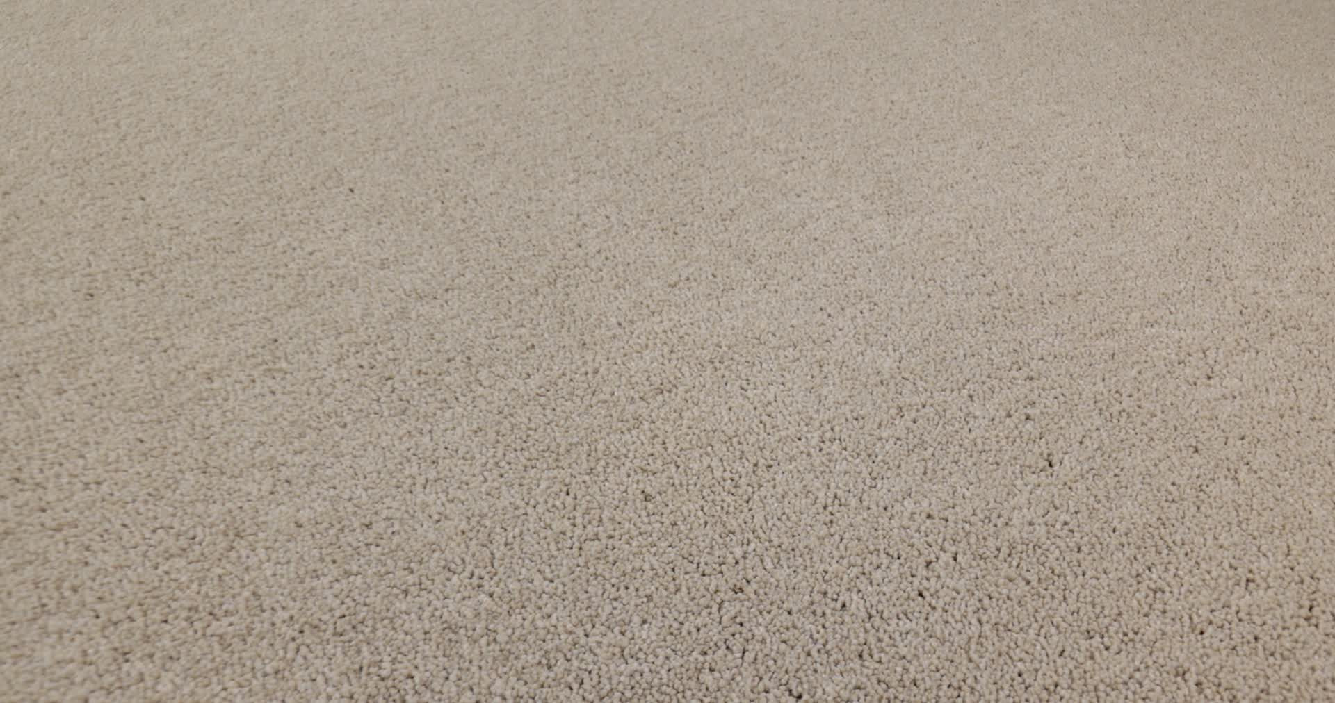 NEW MEMORIES T DUNE VIEW 360PROD