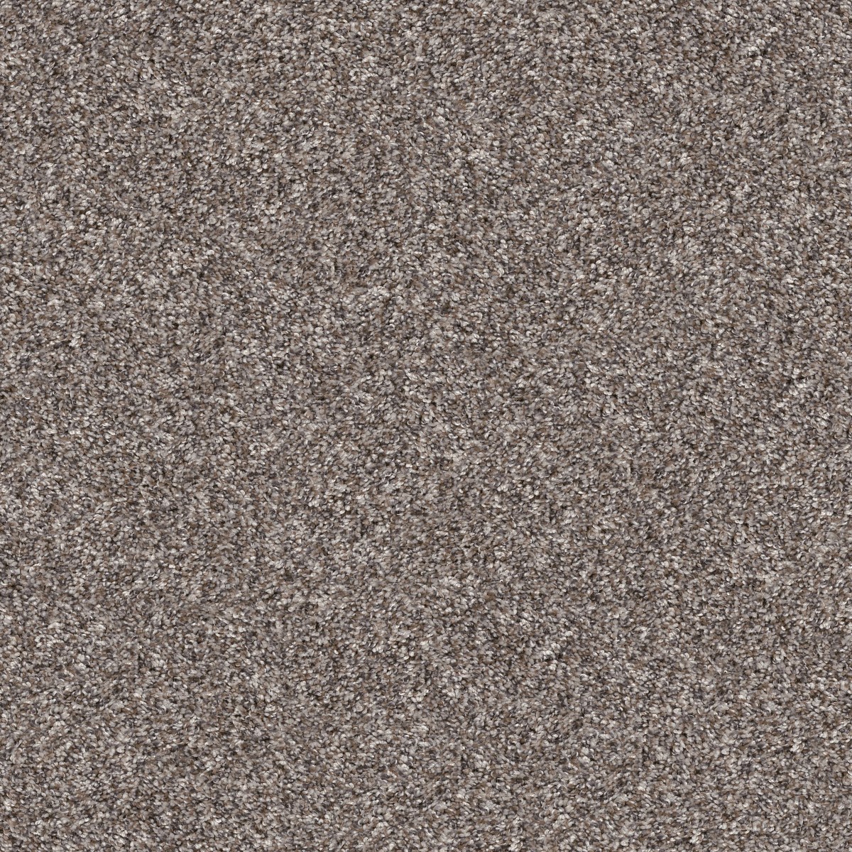 Shaw Floors YES YOU CAN I 12' — ALASKAN AIR