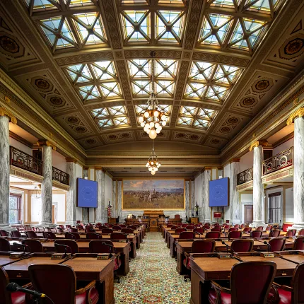 Luxurious carpet flooring in a grand government setting Ornate government facility with intricate carpet flooring
